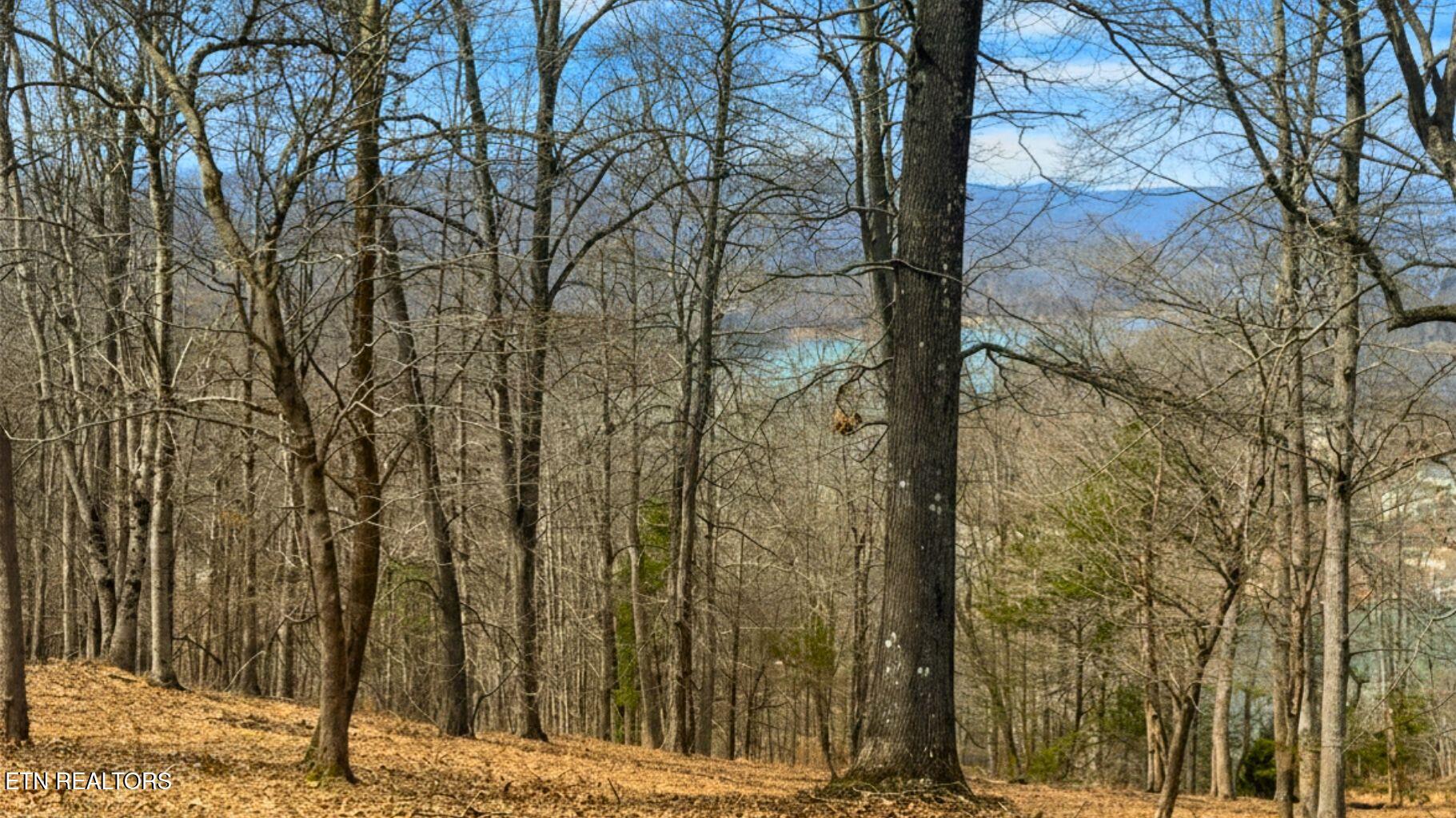 Deer Creek Path Lafollette TN 37766