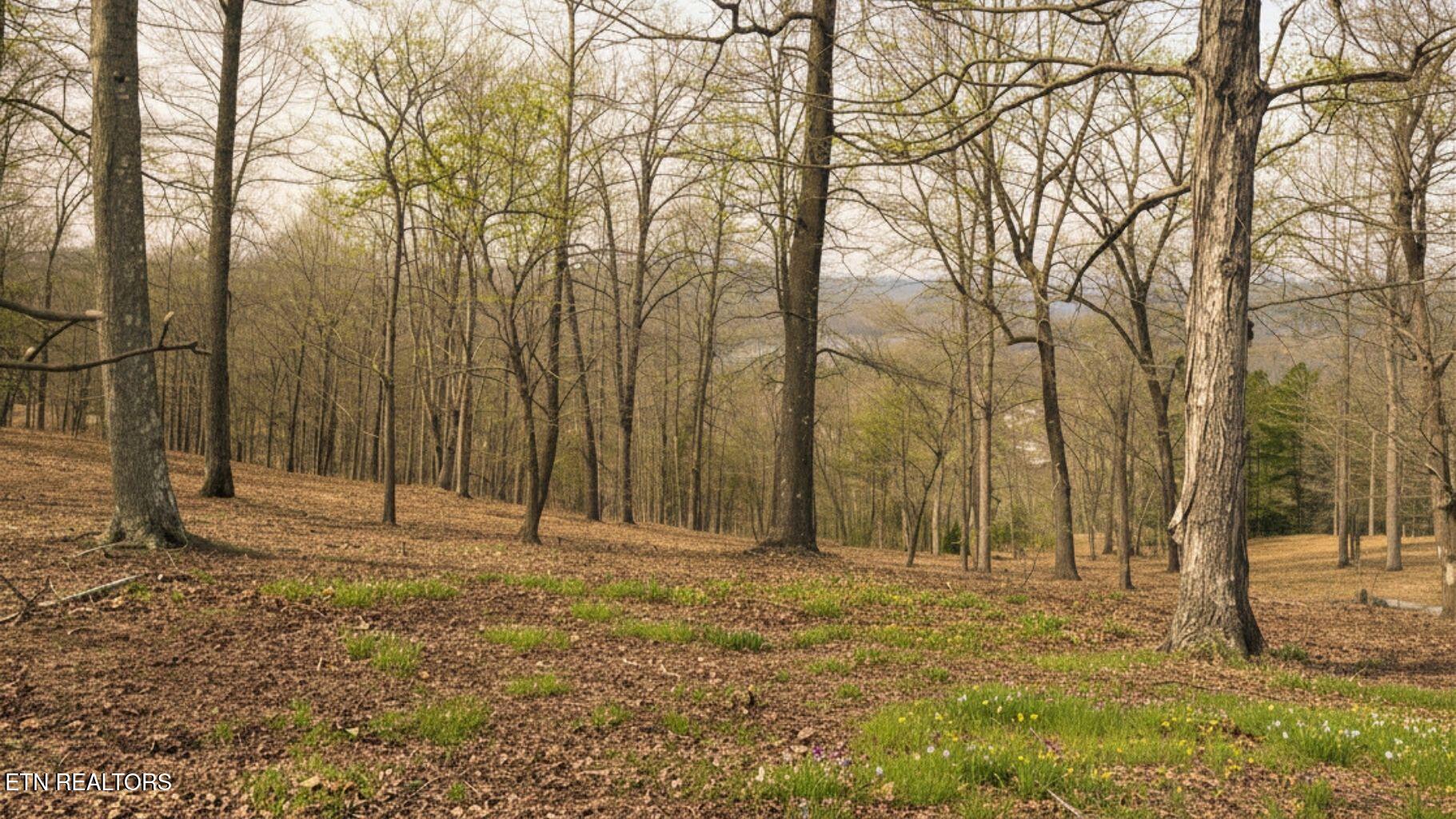Deer Creek Path Lafollette TN 37766