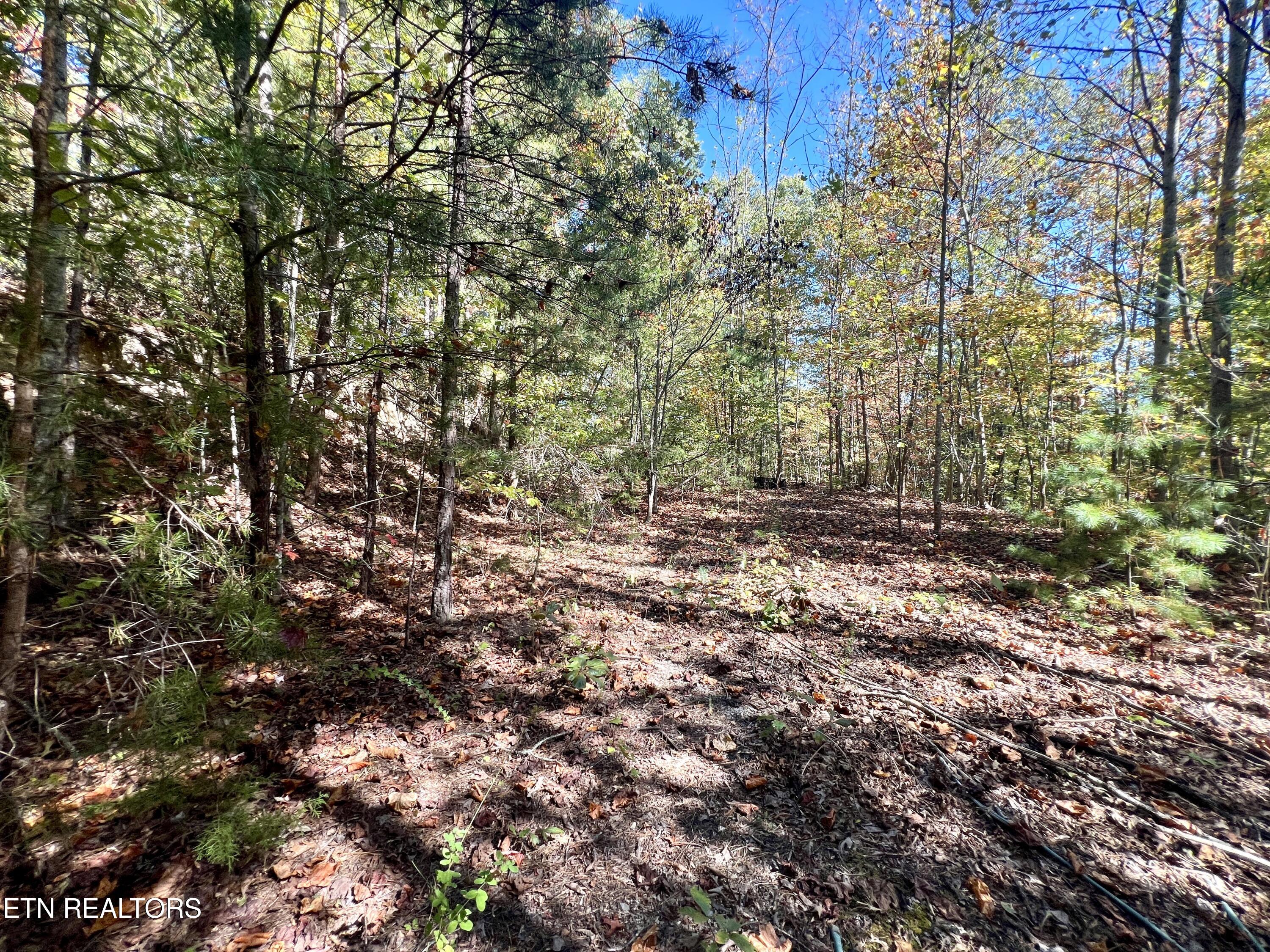 1844 Creek Hollow Way Sevierville TN 37876