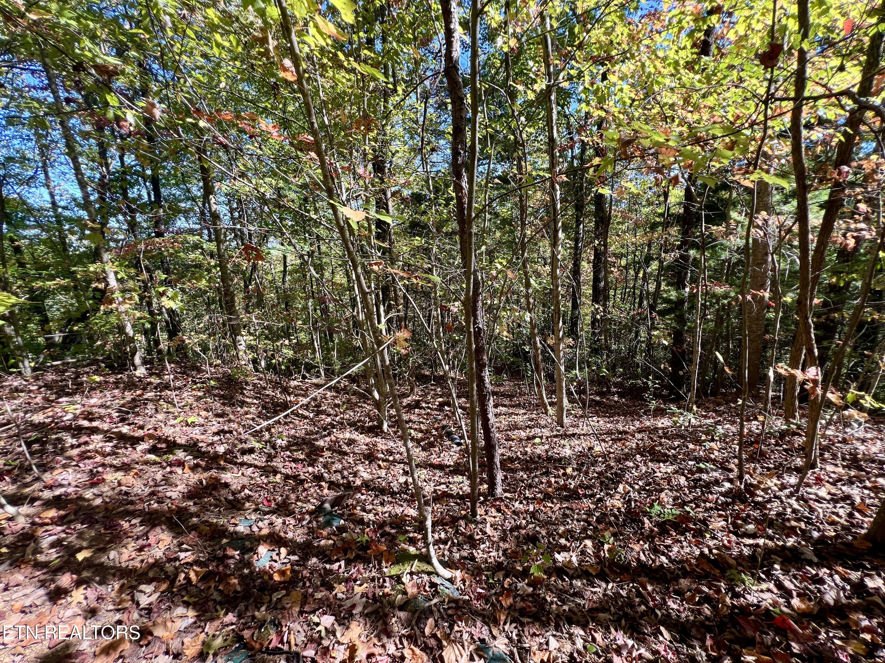 1844 Creek Hollow Way Sevierville TN 37876