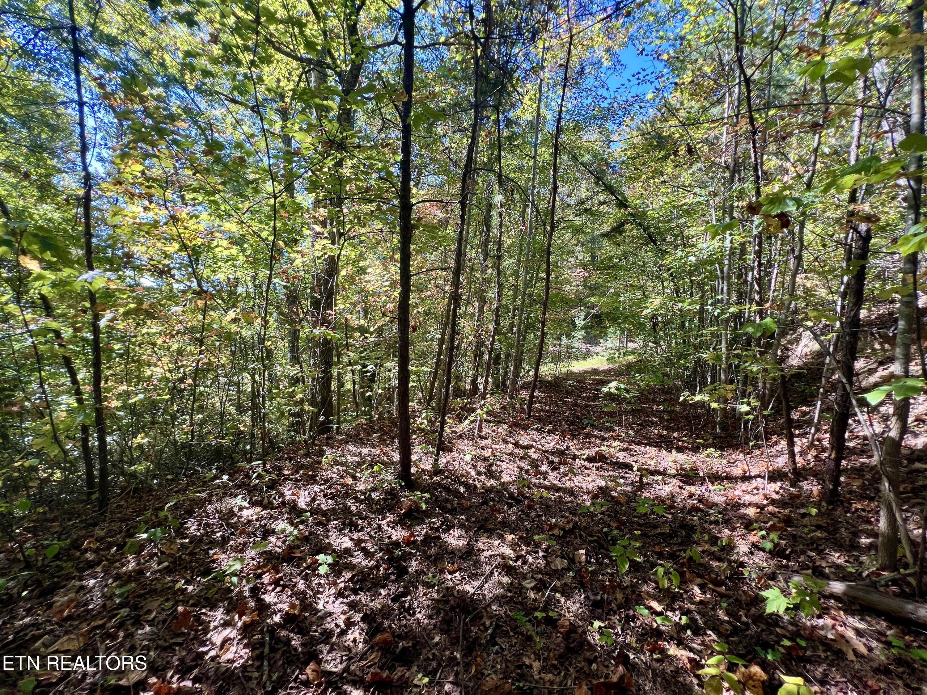 1844 Creek Hollow Way Sevierville TN 37876
