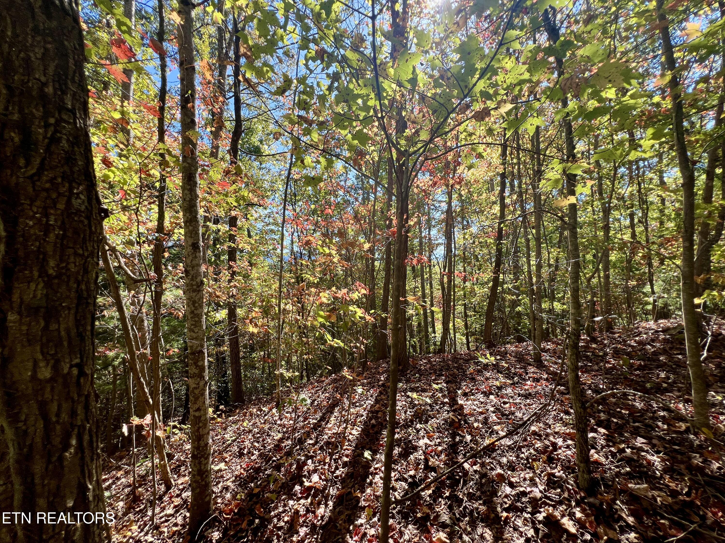 1844 Creek Hollow Way Sevierville TN 37876