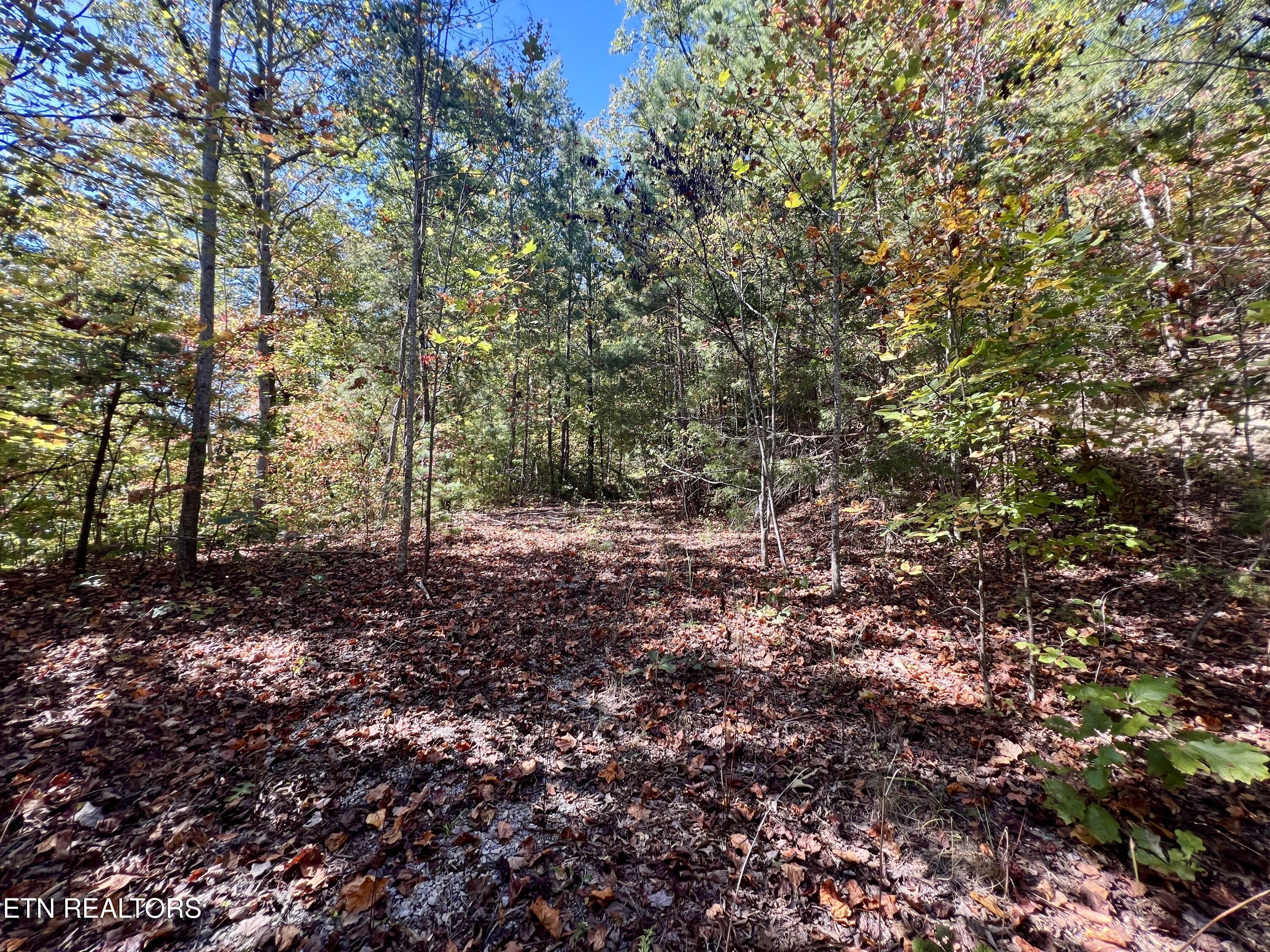 1844 Creek Hollow Way Sevierville TN 37876