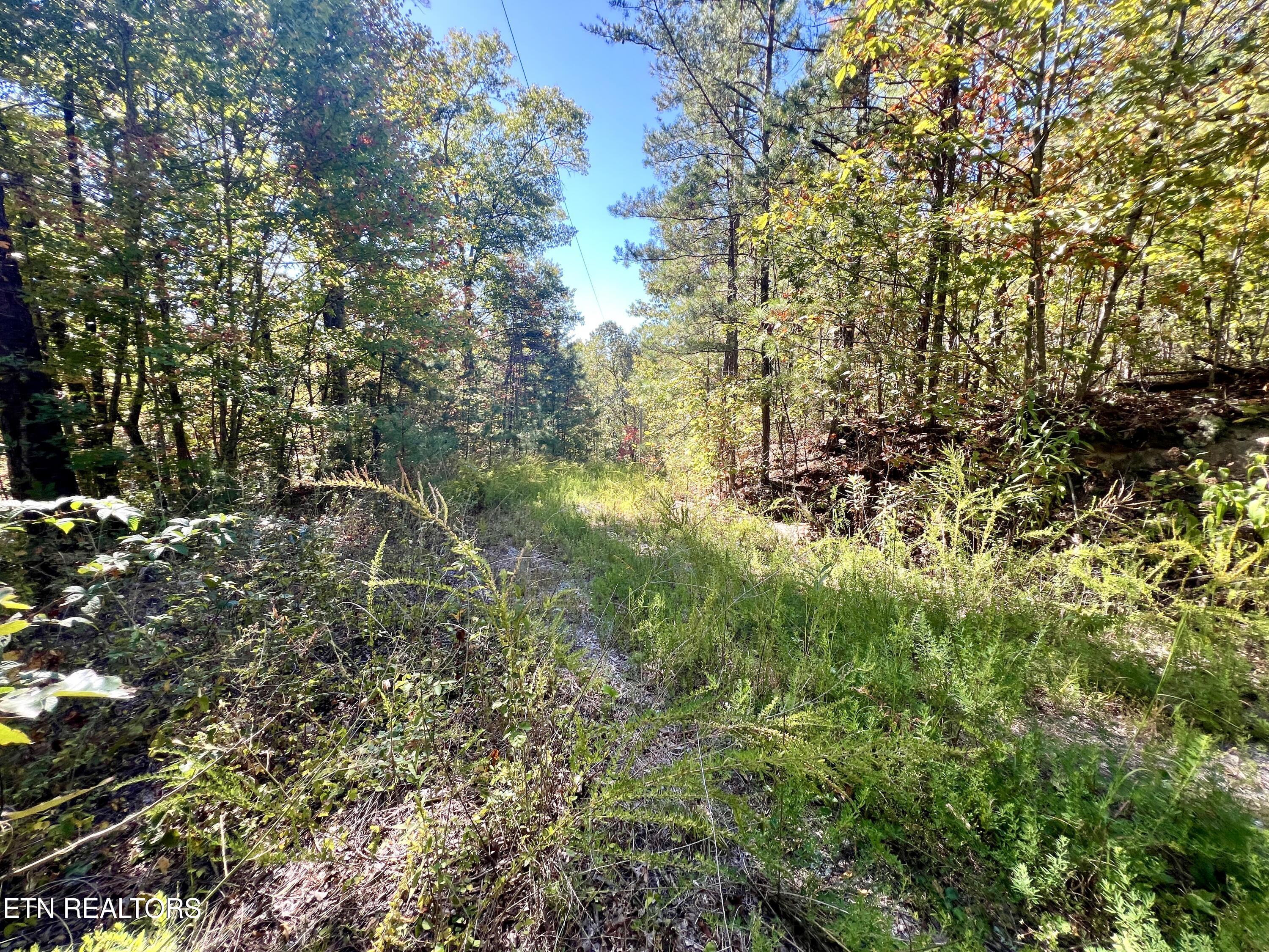 1844 Creek Hollow Way Sevierville TN 37876