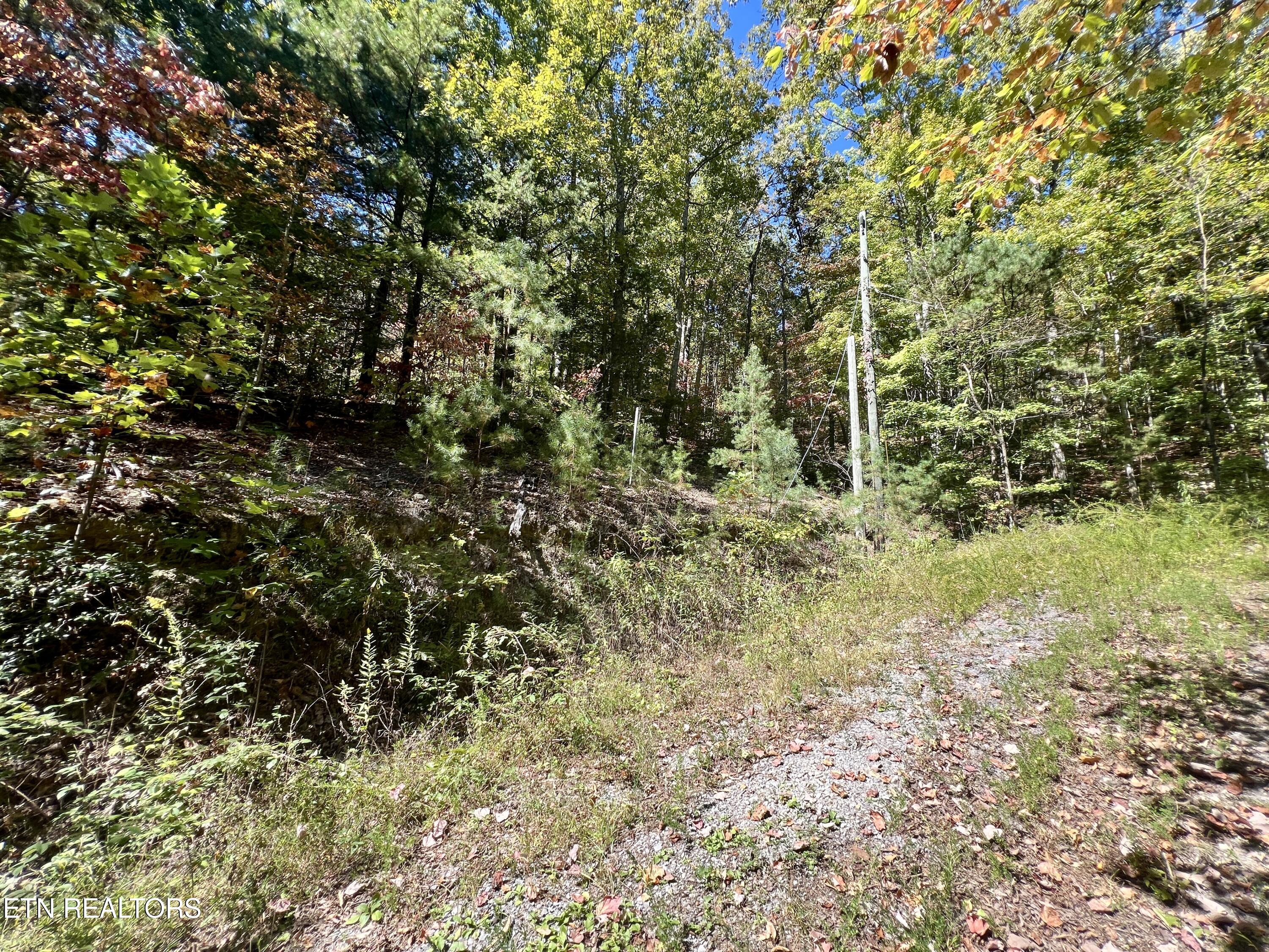 1844 Creek Hollow Way Sevierville TN 37876