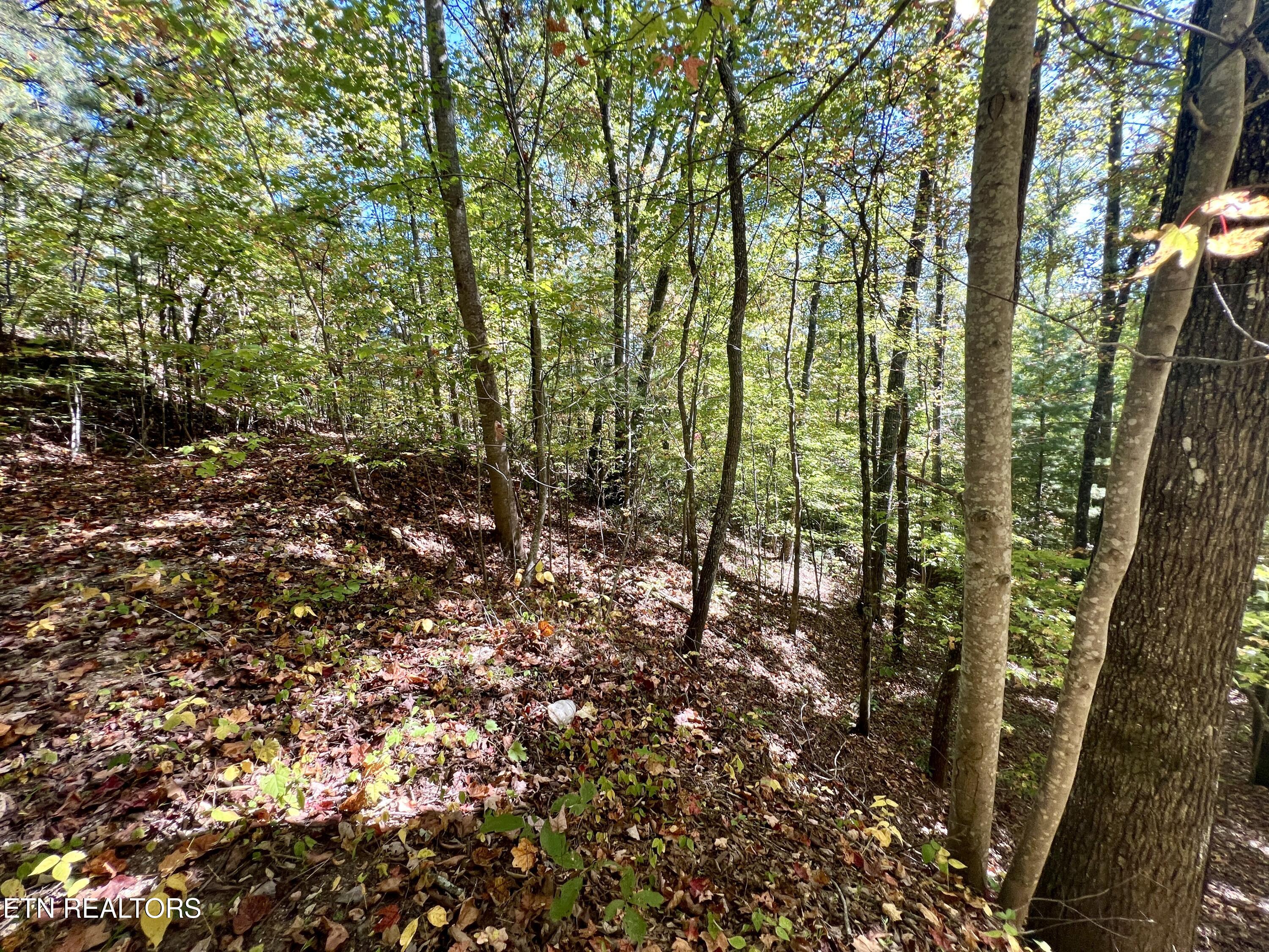 1844 Creek Hollow Way Sevierville TN 37876