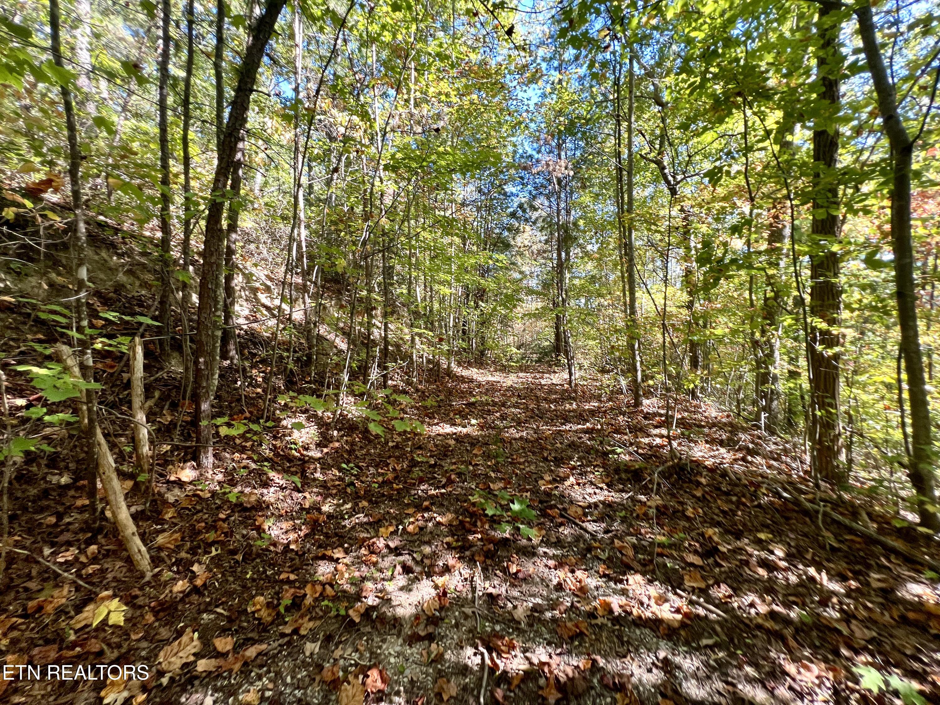 1844 Creek Hollow Way Sevierville TN 37876