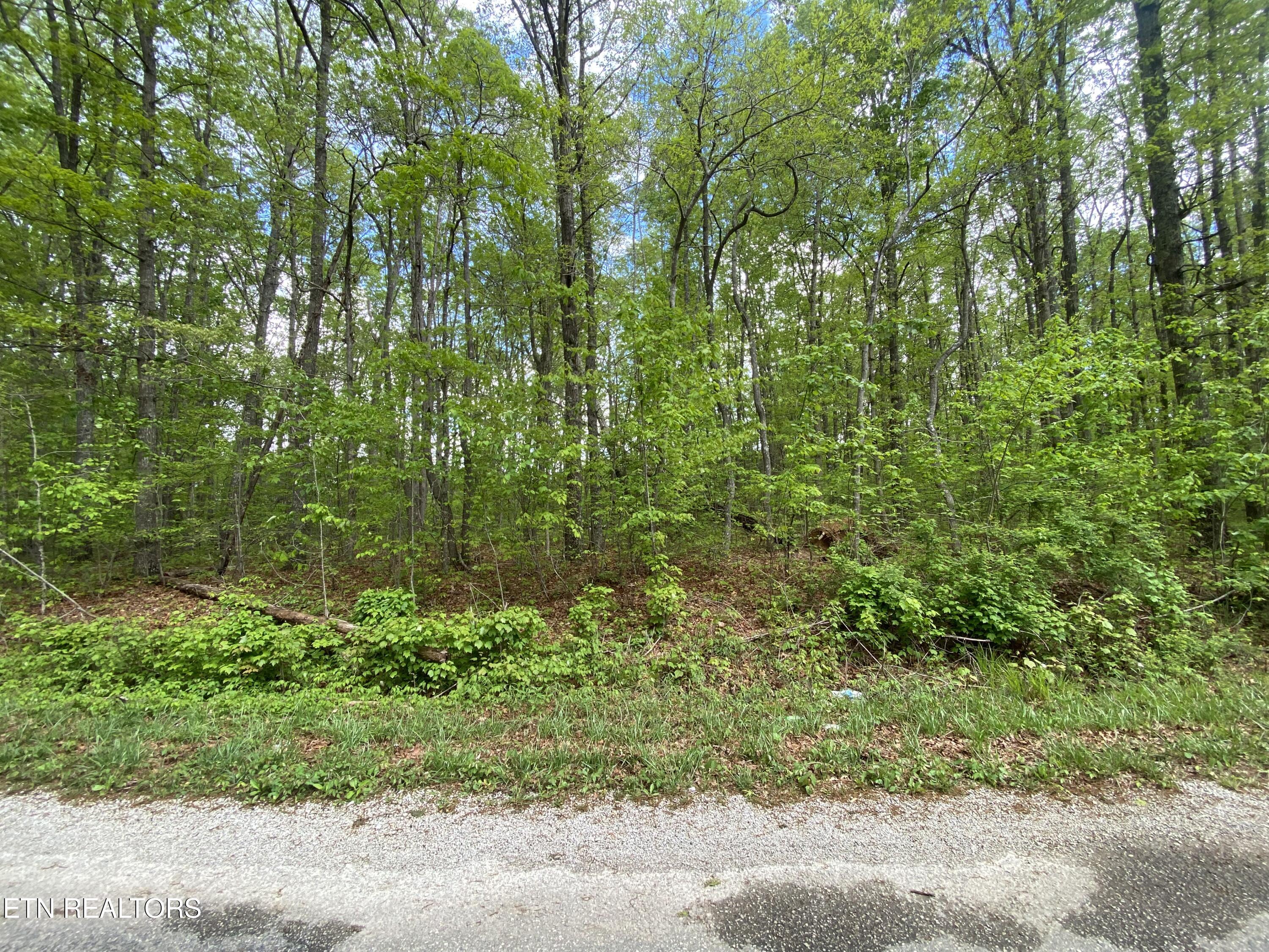 5054 Crazy Horse Drive Crossville TN 38572