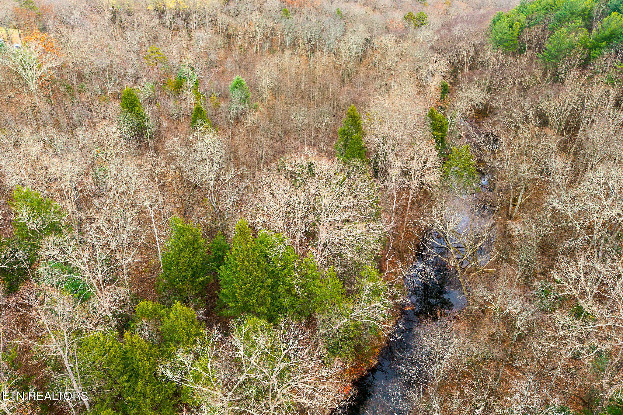 3.64 Acres Open Range Road Crossville TN 38555