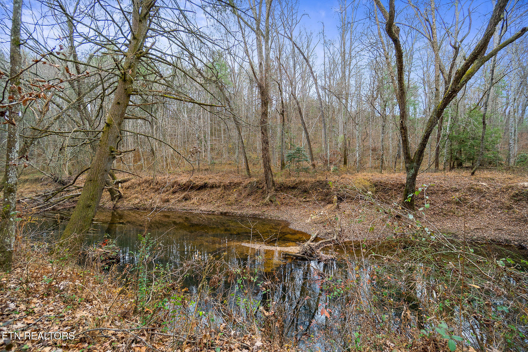 3.64 Acres Open Range Road Crossville TN 38555