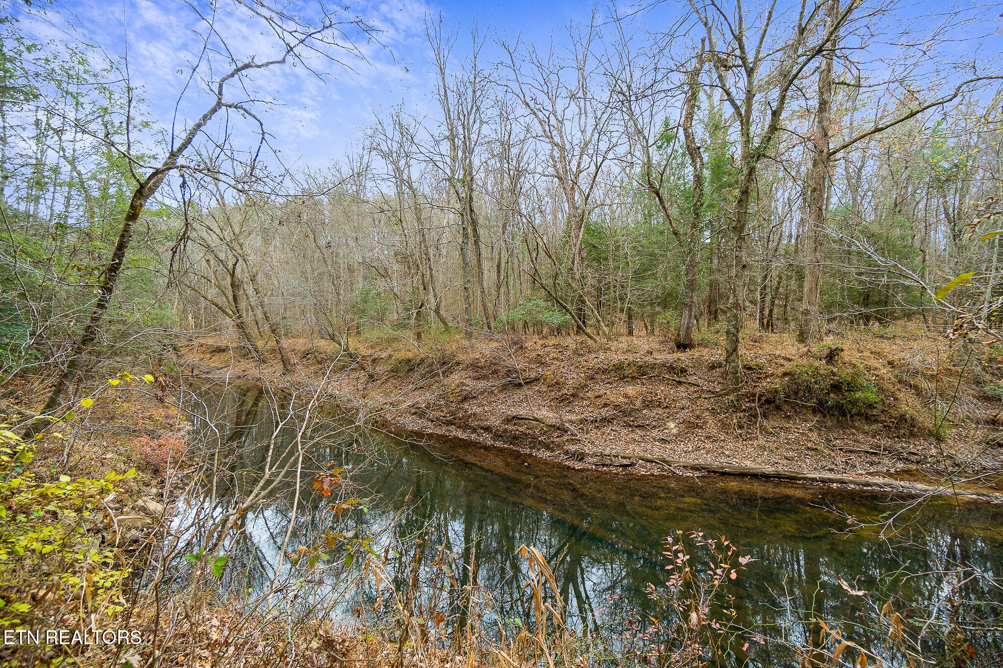 3.64 Acres Open Range Road Crossville TN 38555
