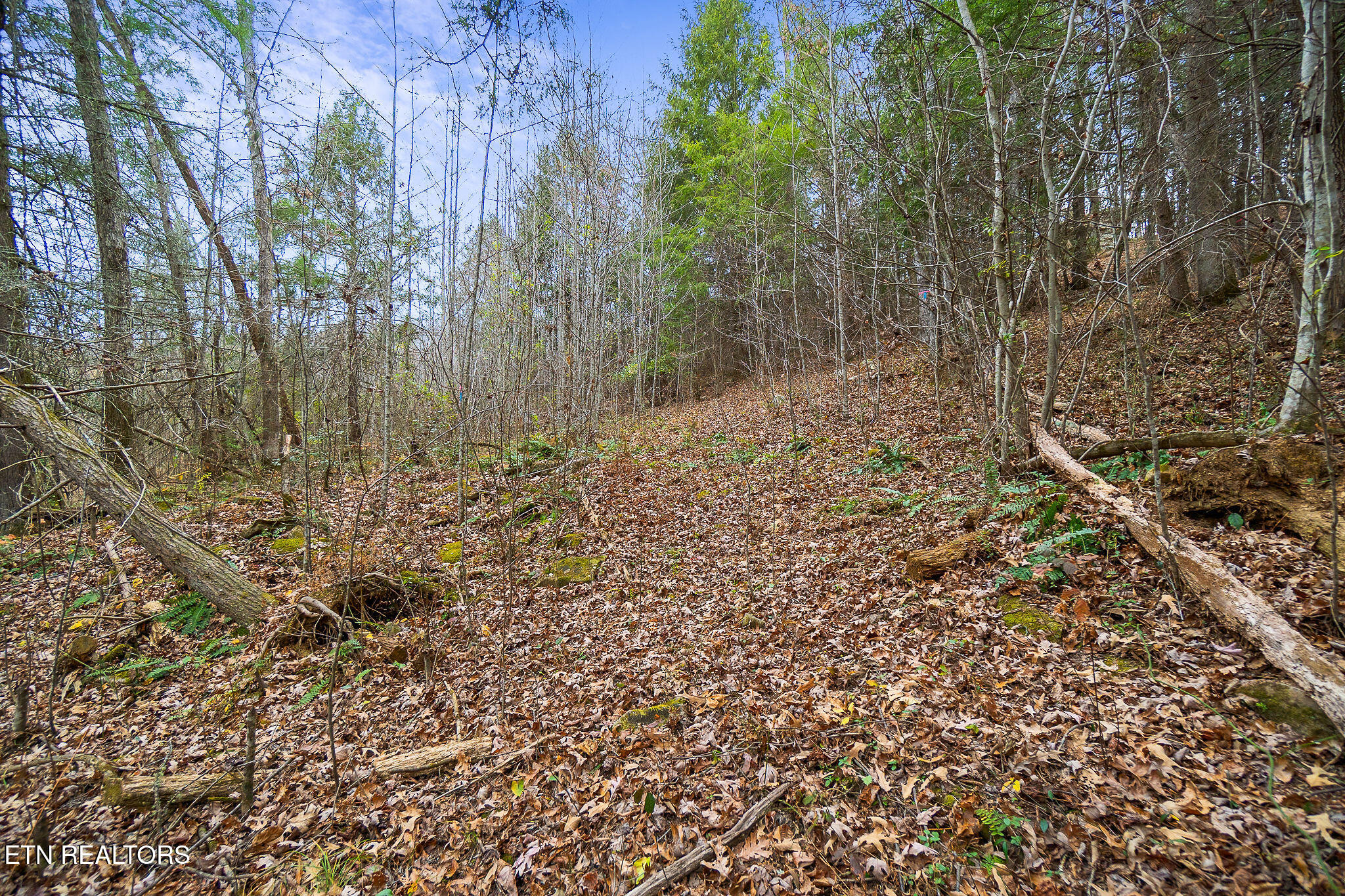 3.64 Acres Open Range Road Crossville TN 38555