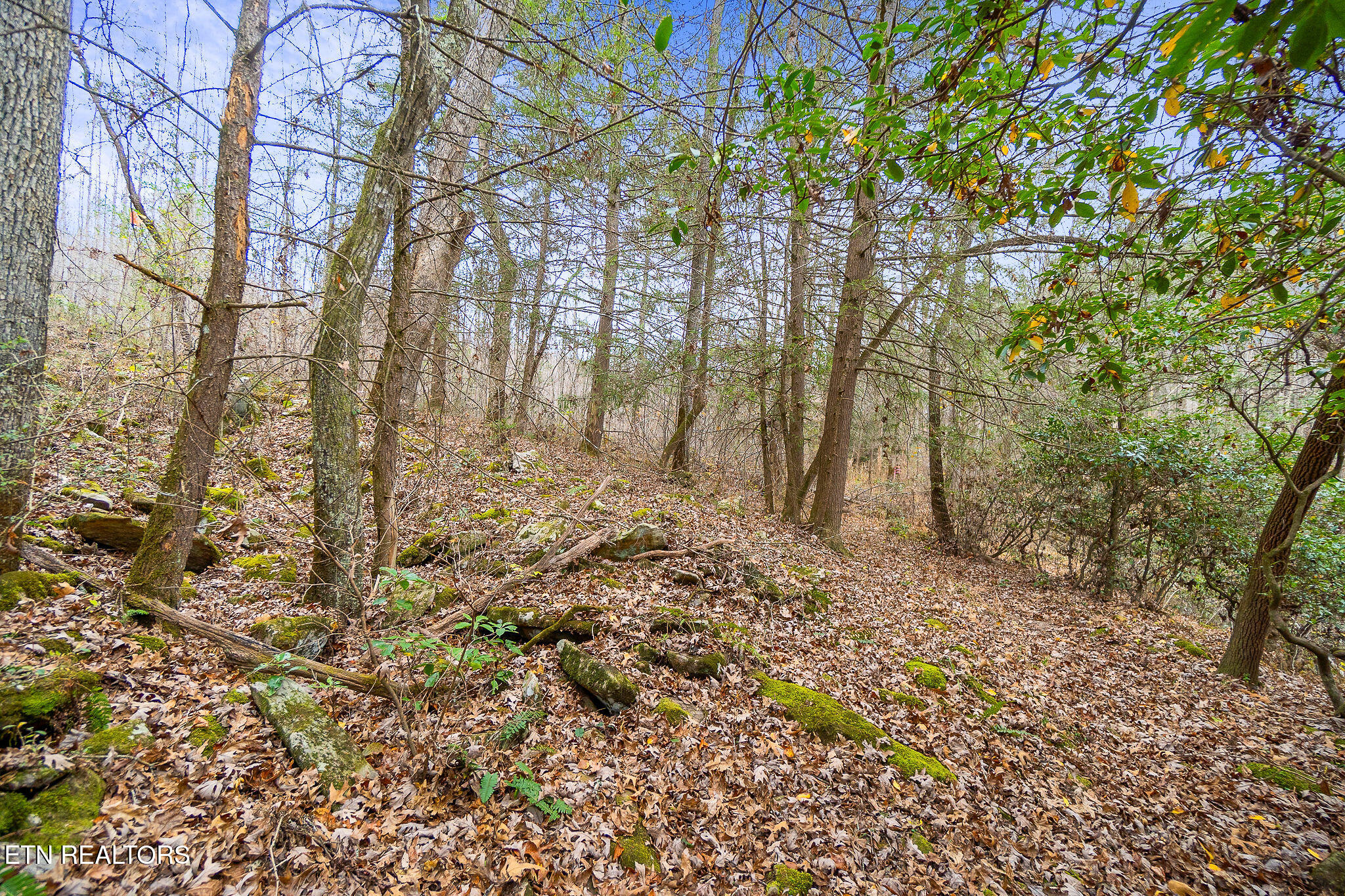 3.64 Acres Open Range Road Crossville TN 38555