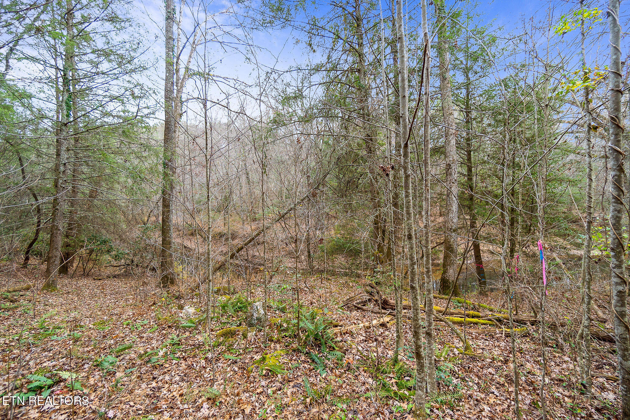 3.64 Acres Open Range Road Crossville TN 38555