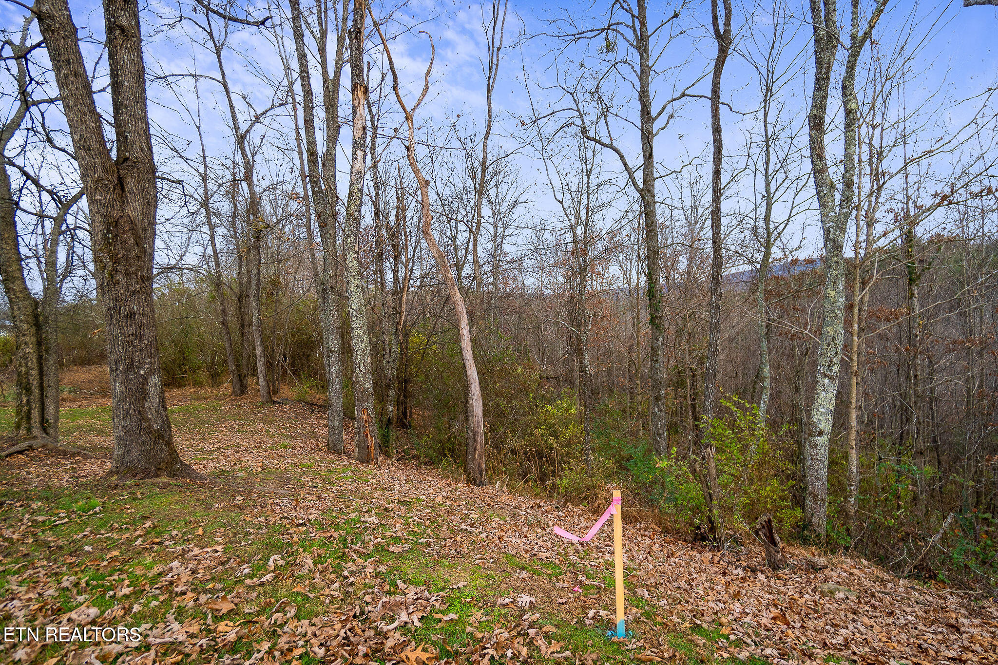 3.64 Acres Open Range Road Crossville TN 38555