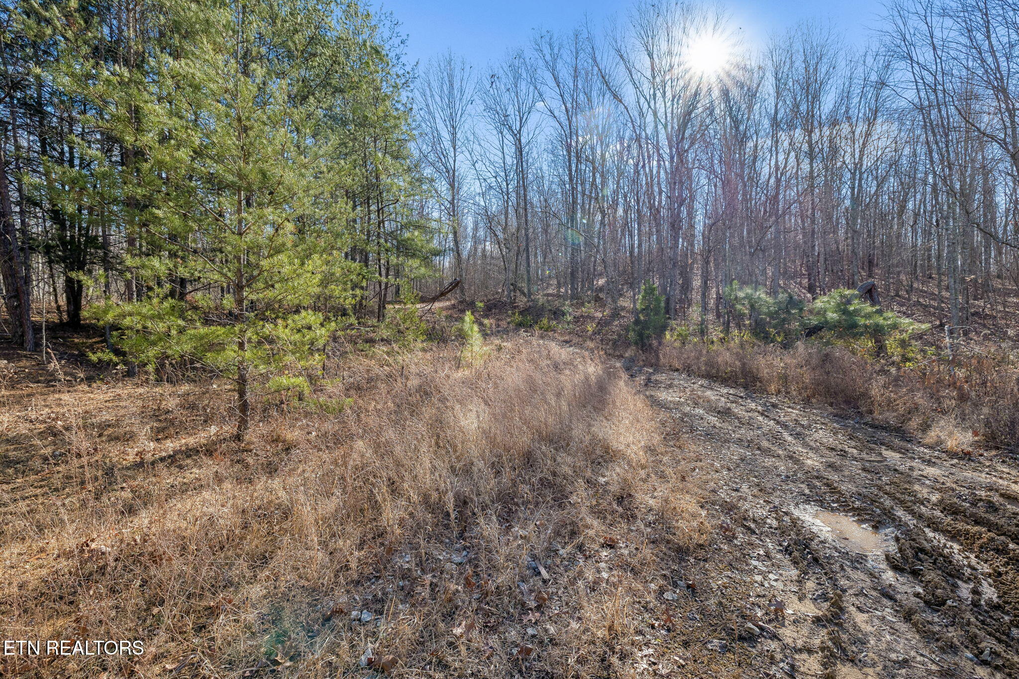 Huffman Road Sunbright TN 37872