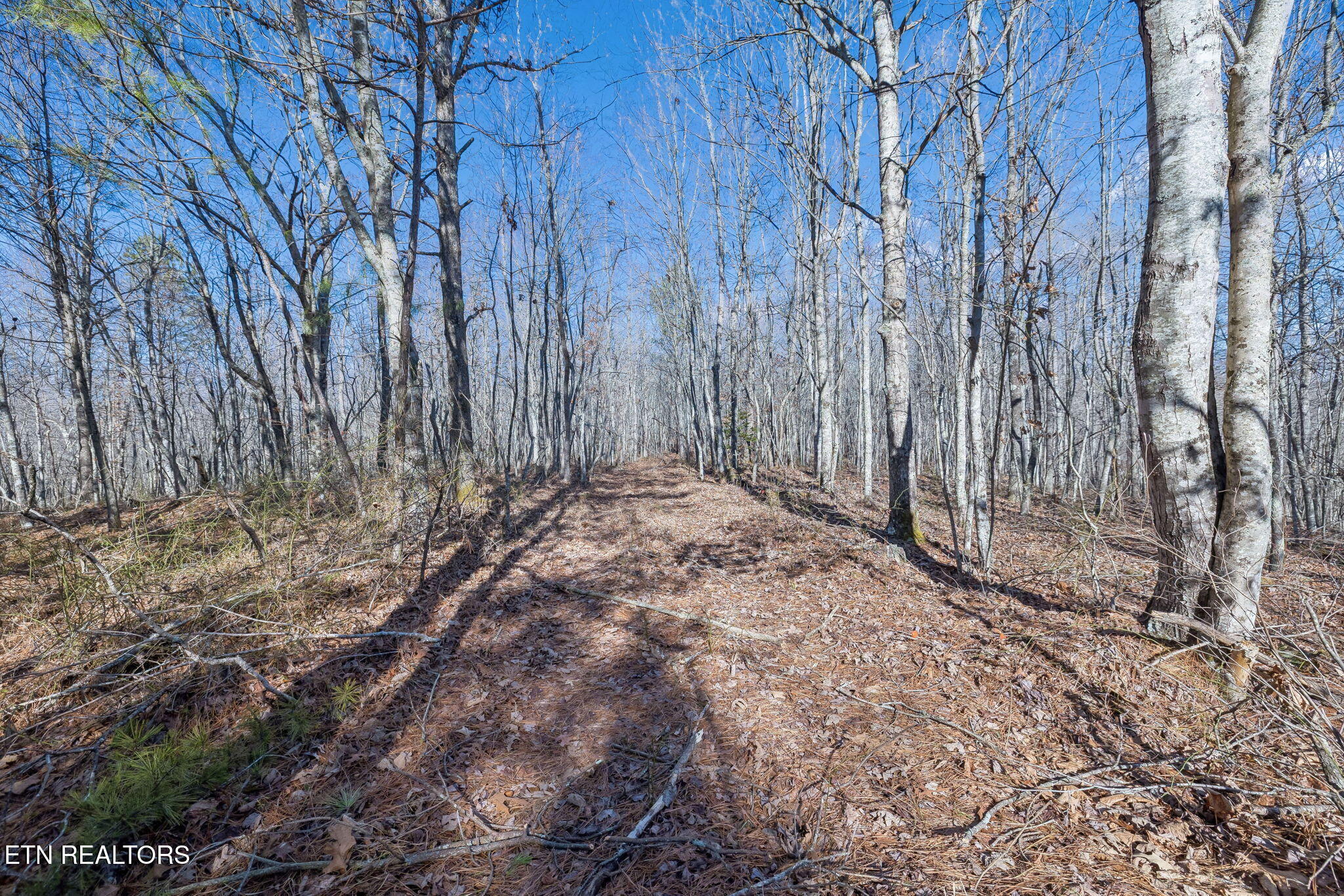 Huffman Road Sunbright TN 37872