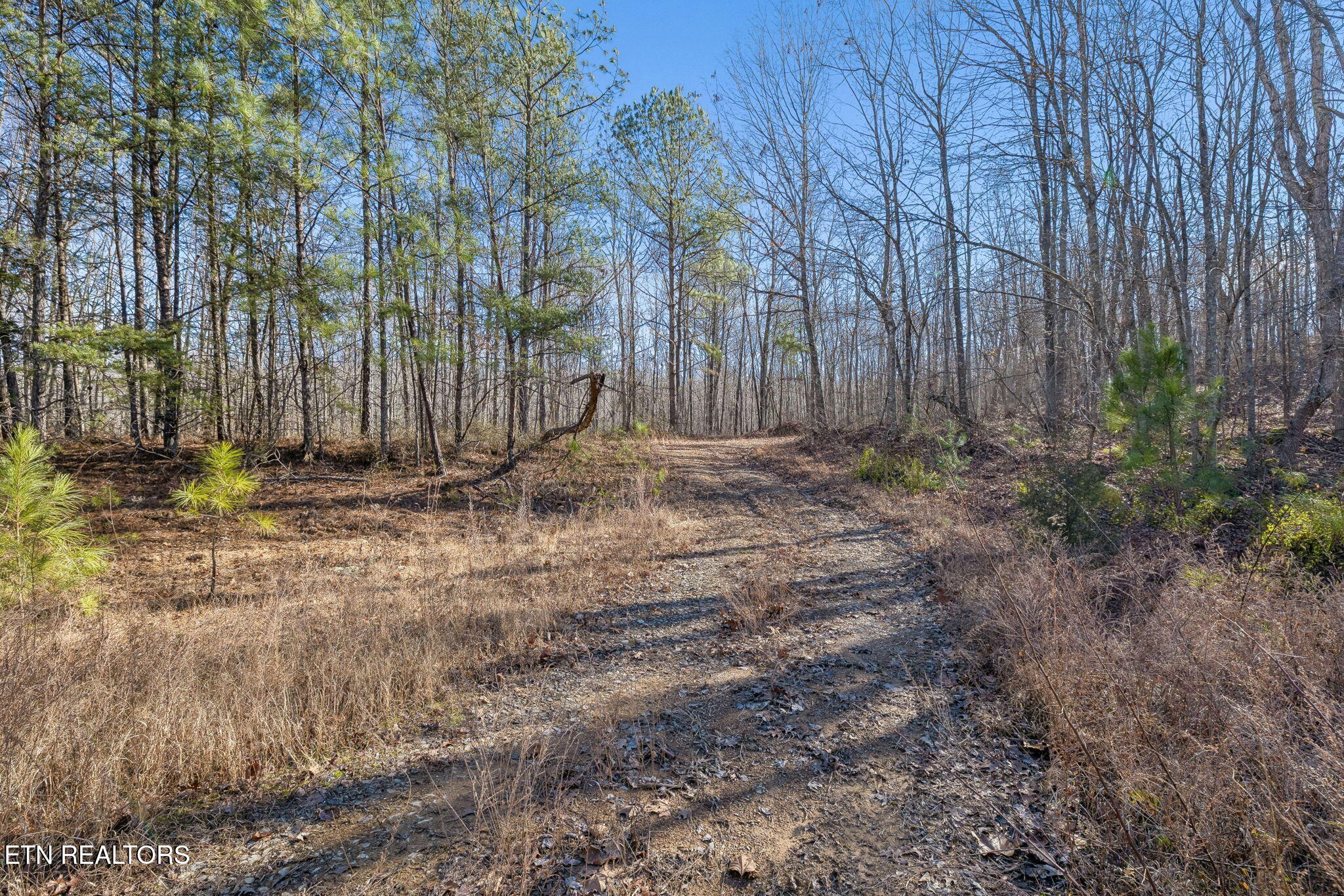 Huffman Road Sunbright TN 37872