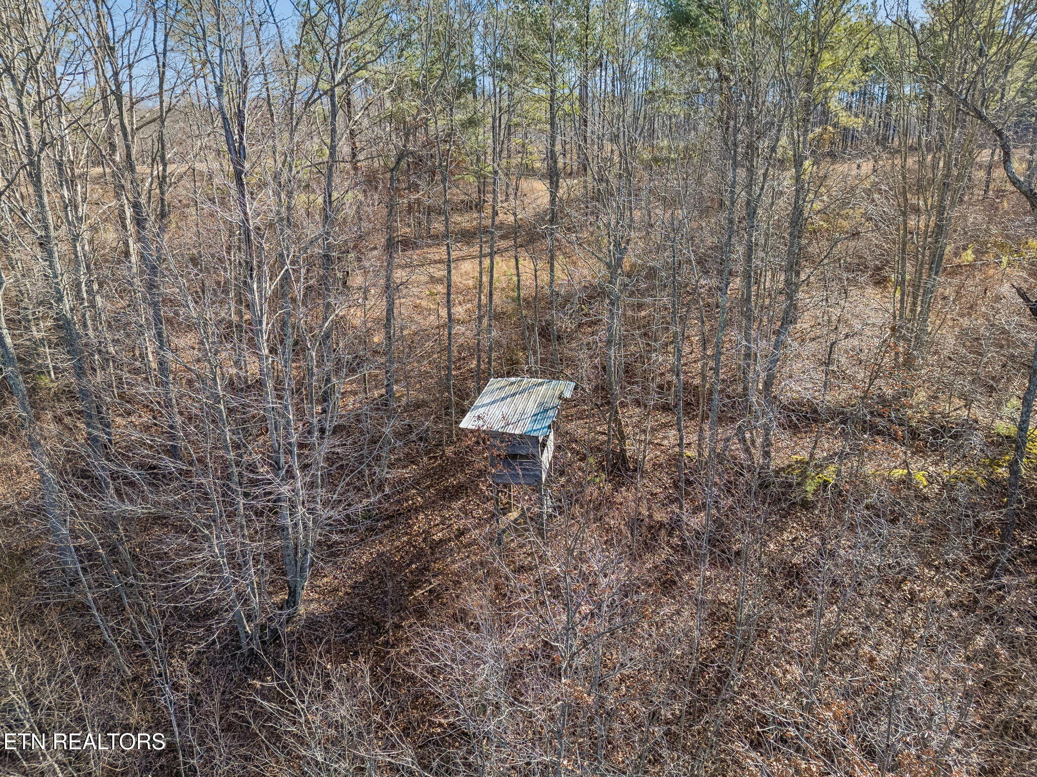 Huffman Road Sunbright TN 37872
