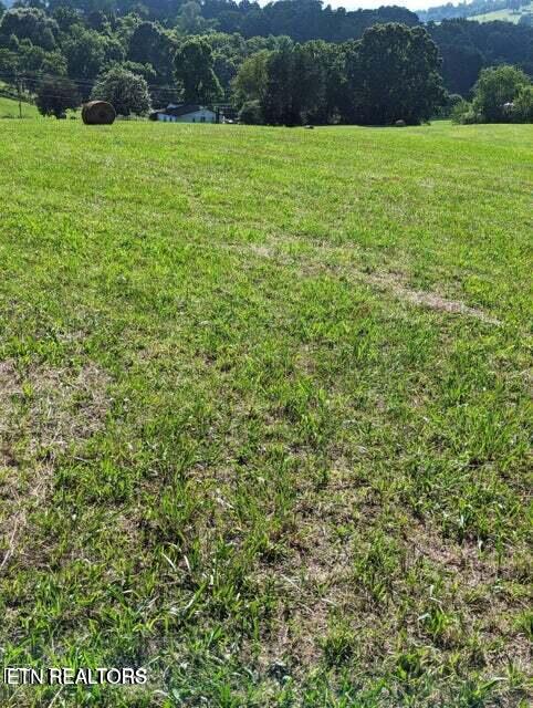 Tennessee 92 Rutledge TN 37861