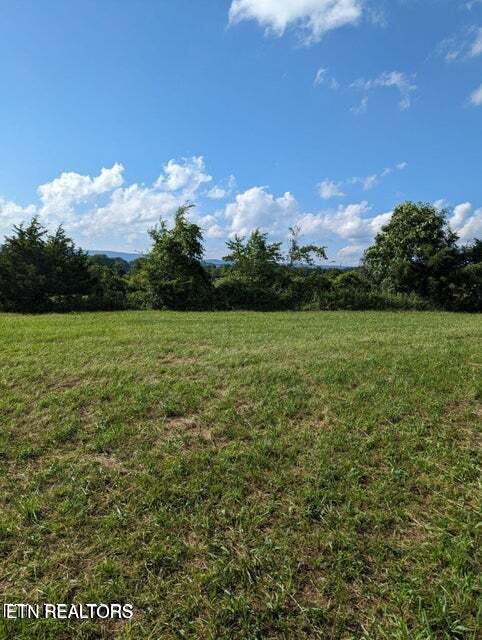 Tennessee 92 Rutledge TN 37861