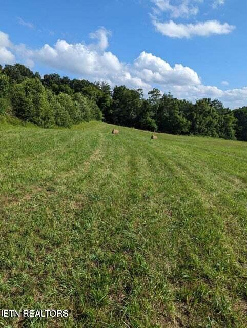 Tennessee 92 Rutledge TN 37861