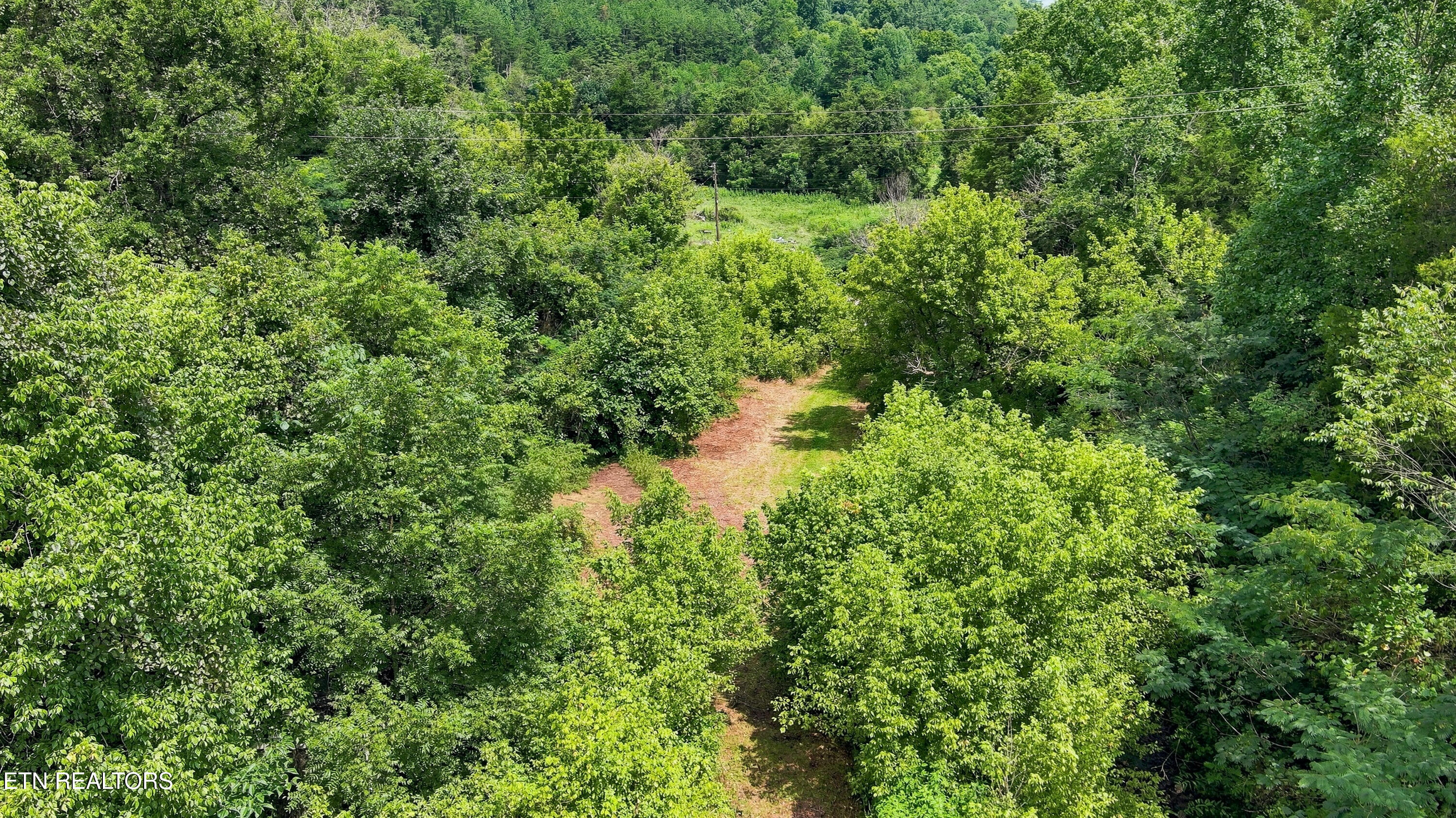 Gray Road Maynardville TN 37807