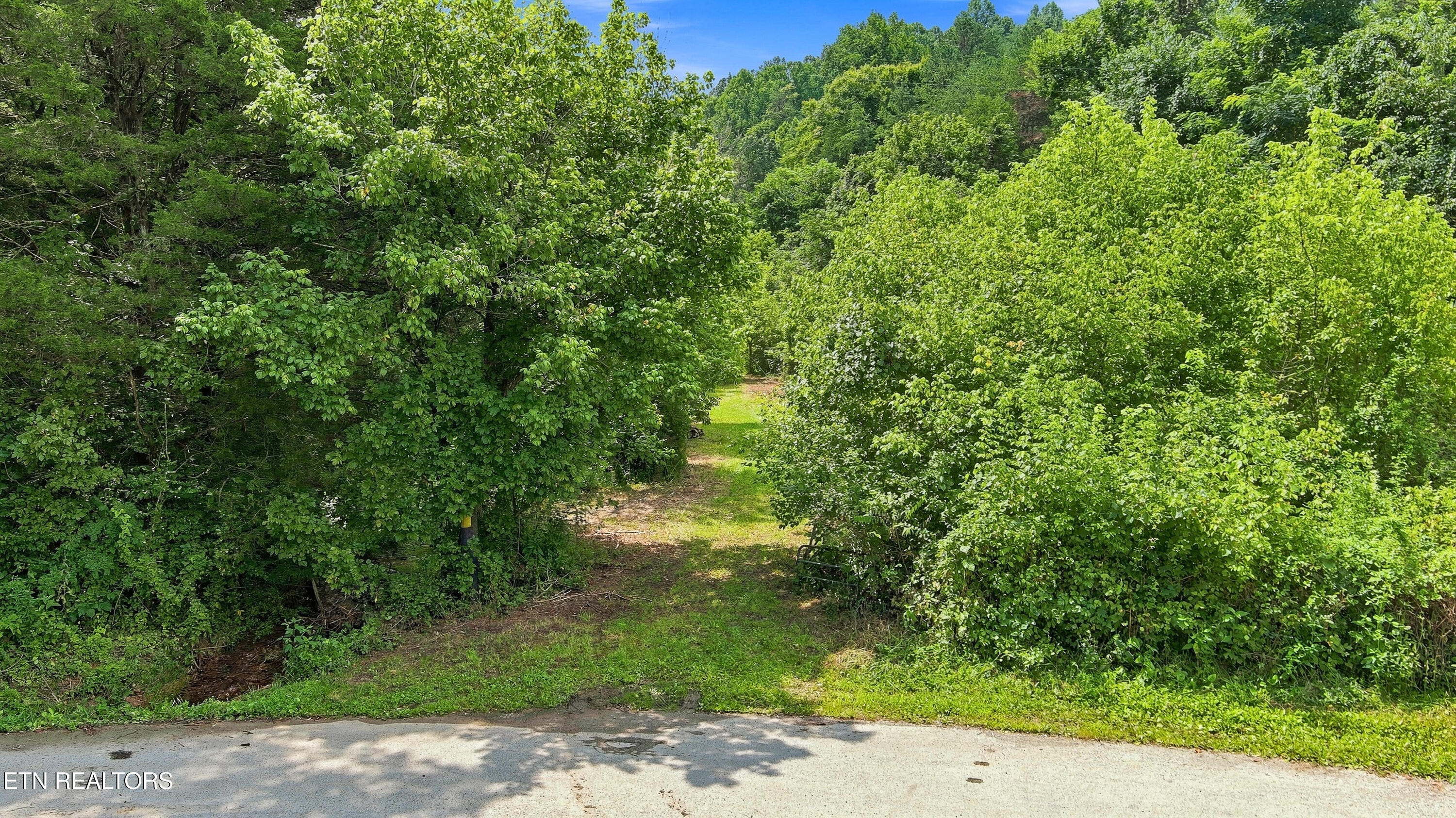 Gray Road Maynardville TN 37807
