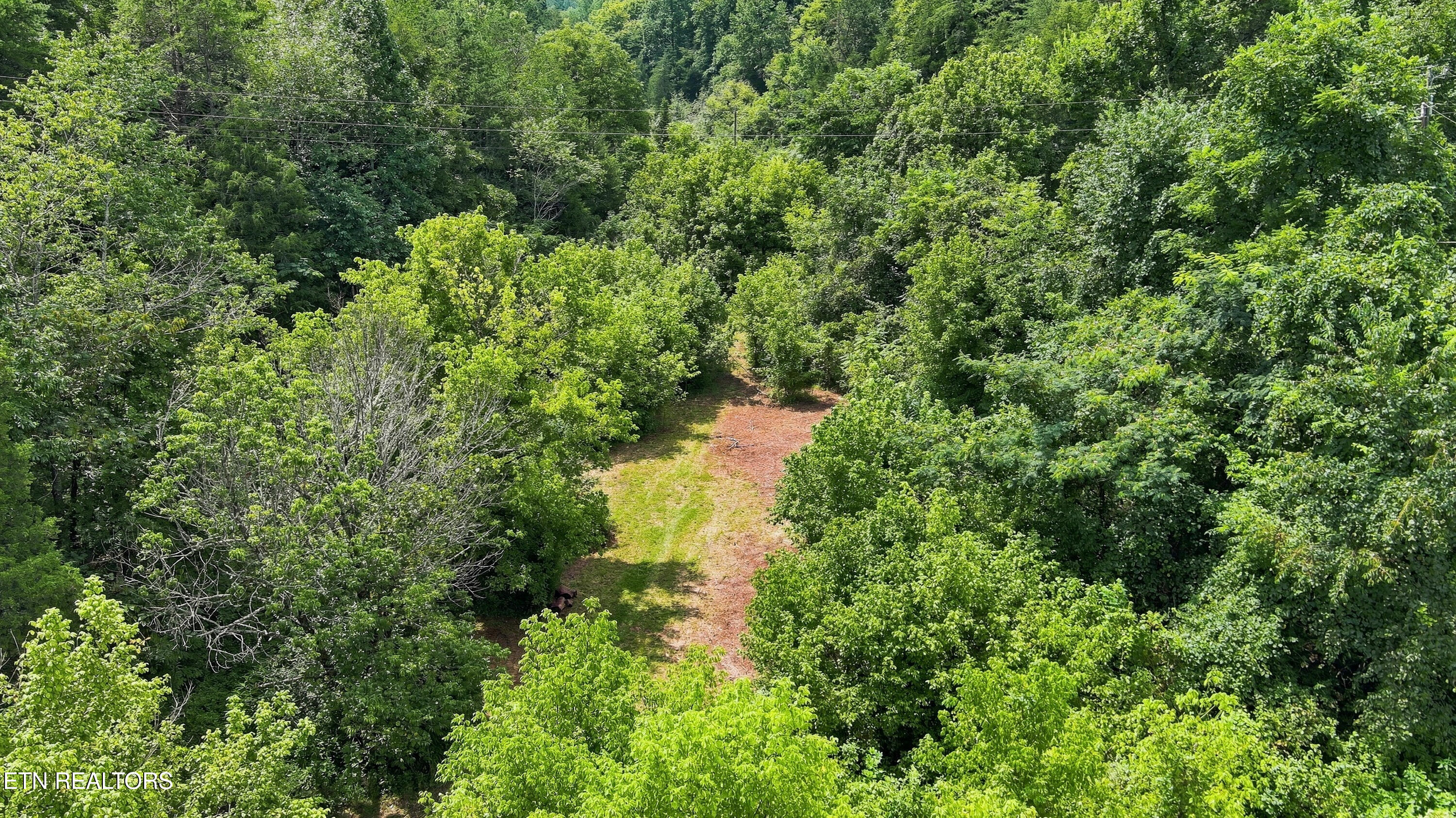 Gray Road Maynardville TN 37807