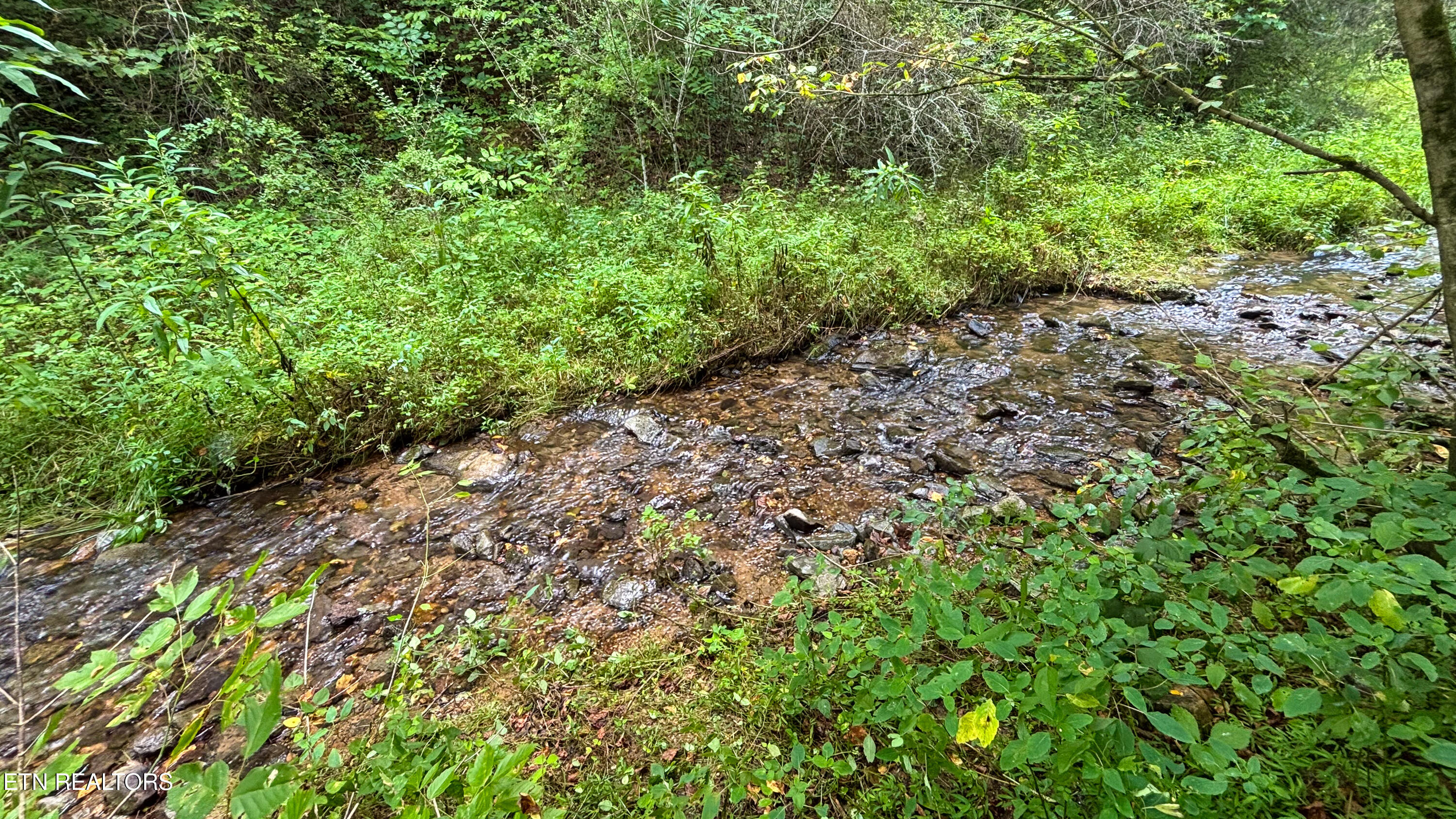 Gray Road Maynardville TN 37807