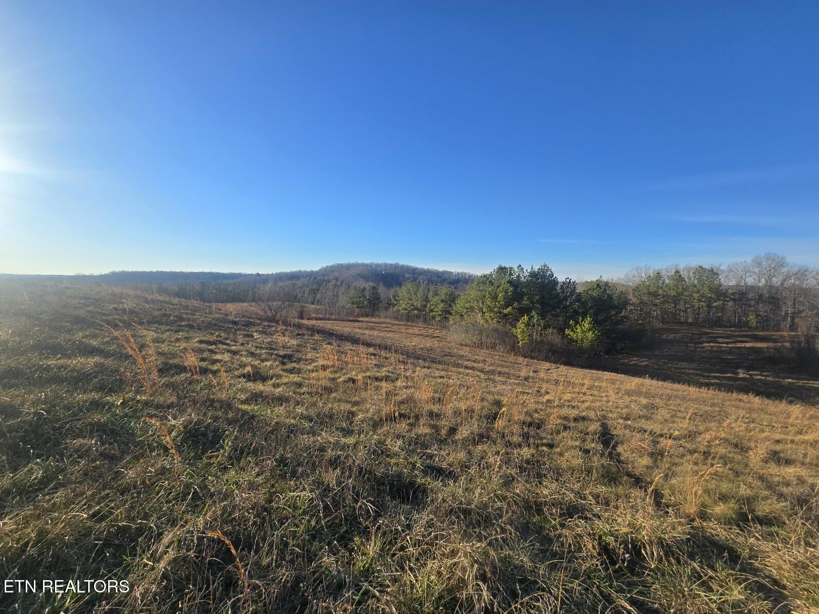 Lot 1c Honey Creek Road Robbins TN 37852