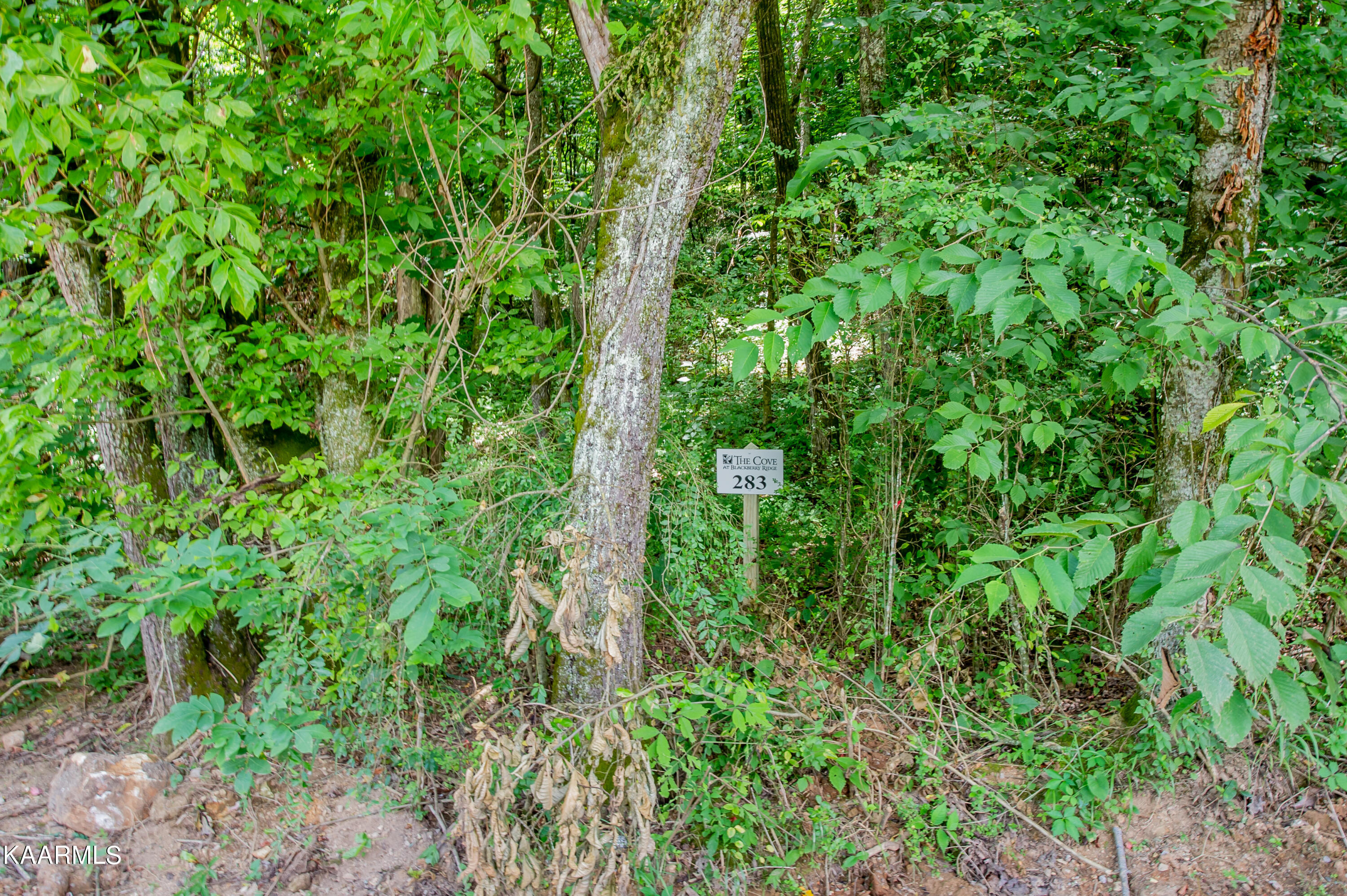 4485 Huffine Road Loudon TN 37774