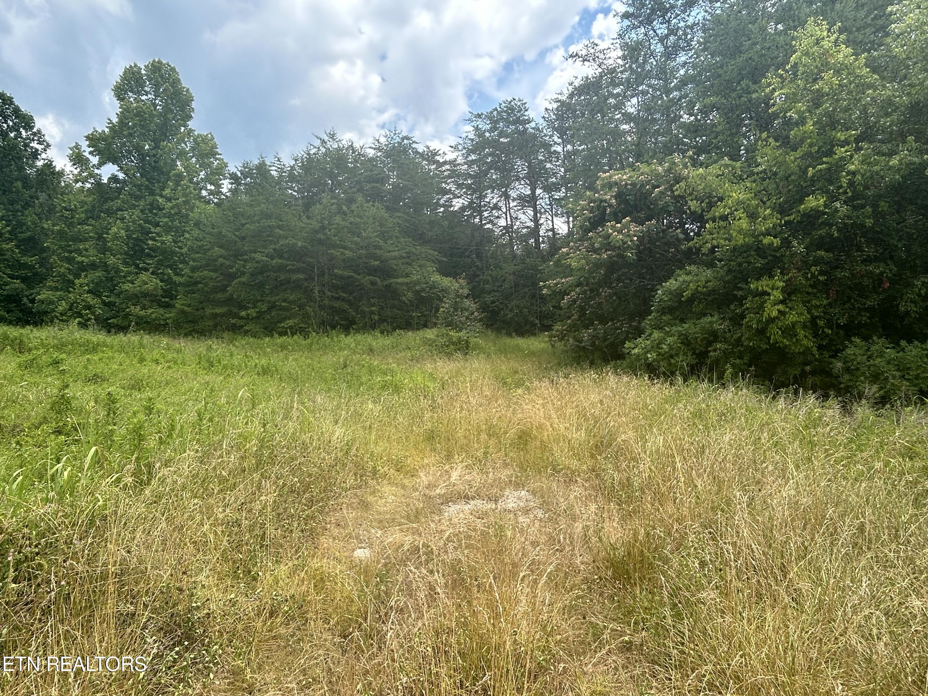 Belltown Road Tellico Plains TN 37385