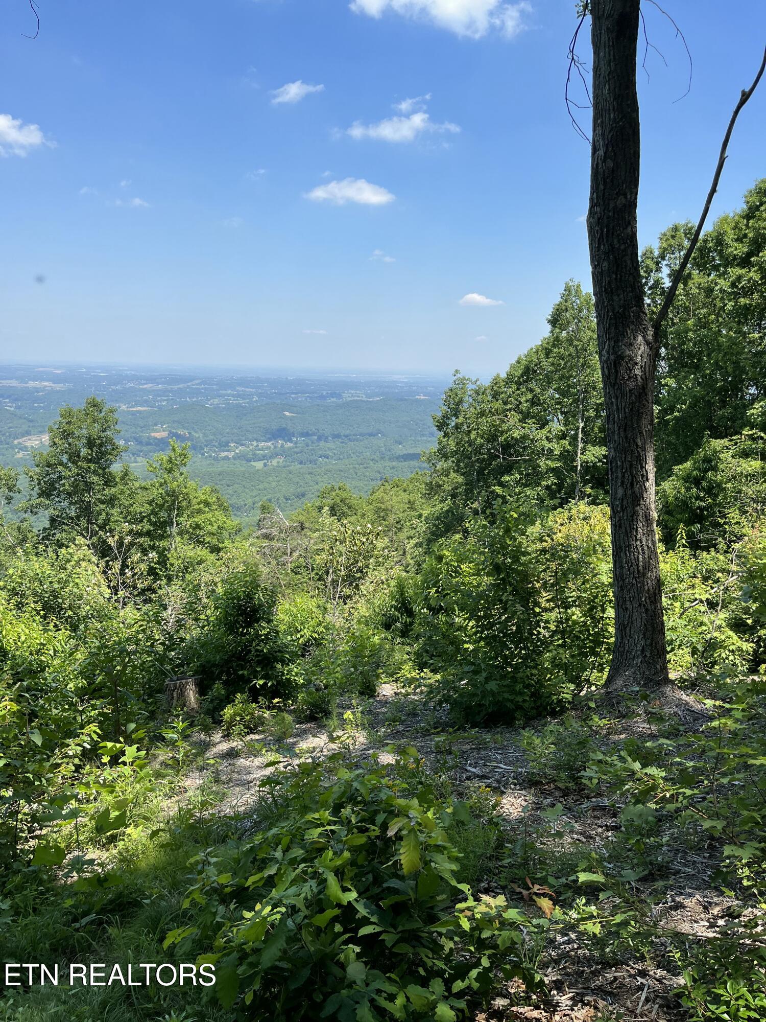 4166 Chilhowee Trail Maryville TN 37803