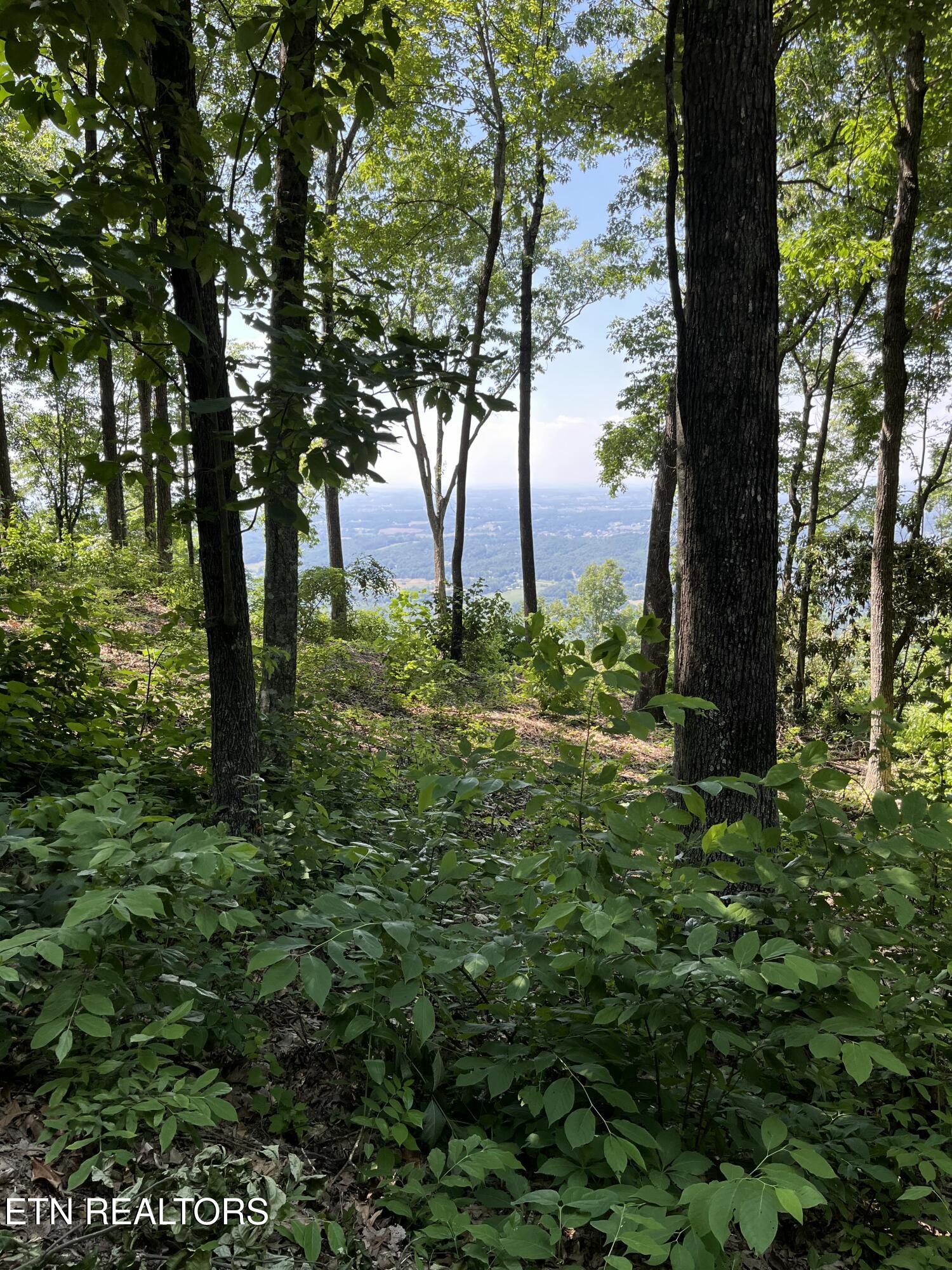4166 Chilhowee Trail Maryville TN 37803