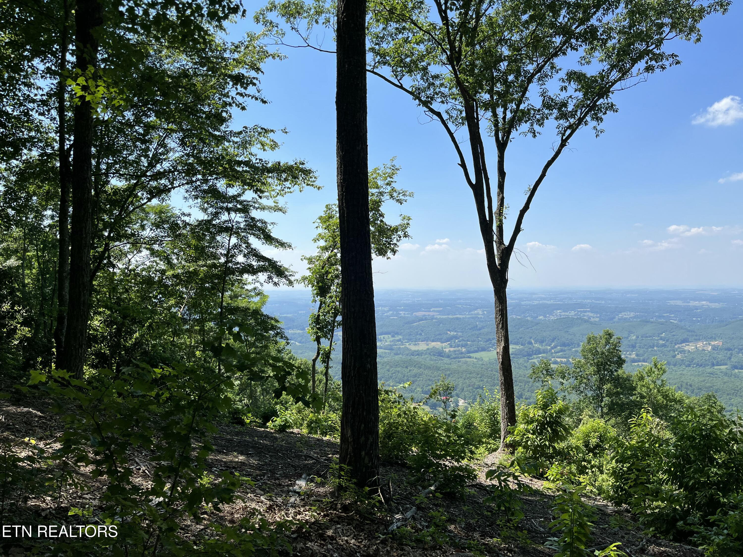 4166 Chilhowee Trail Maryville TN 37803