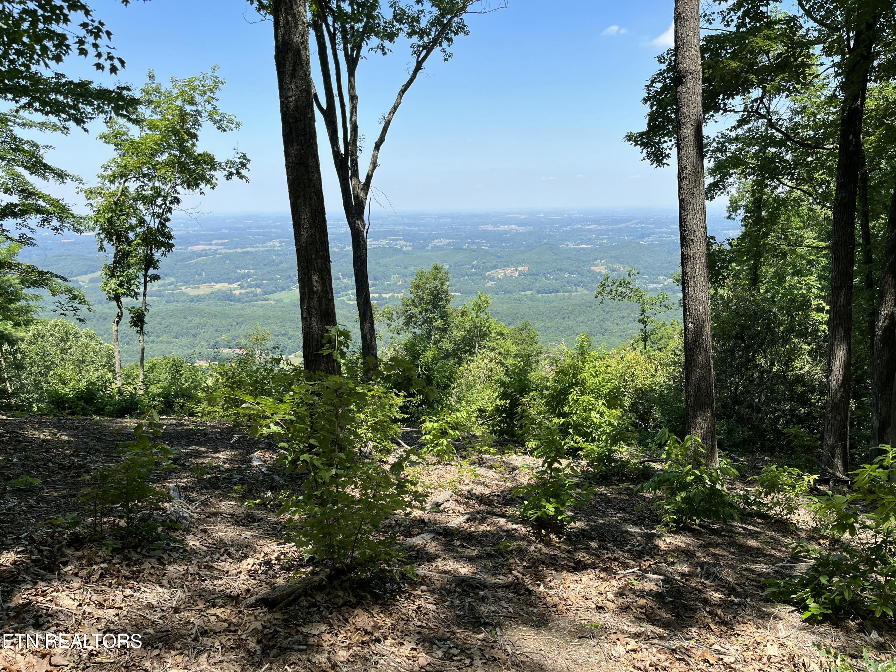 4166 Chilhowee Trail Maryville TN 37803