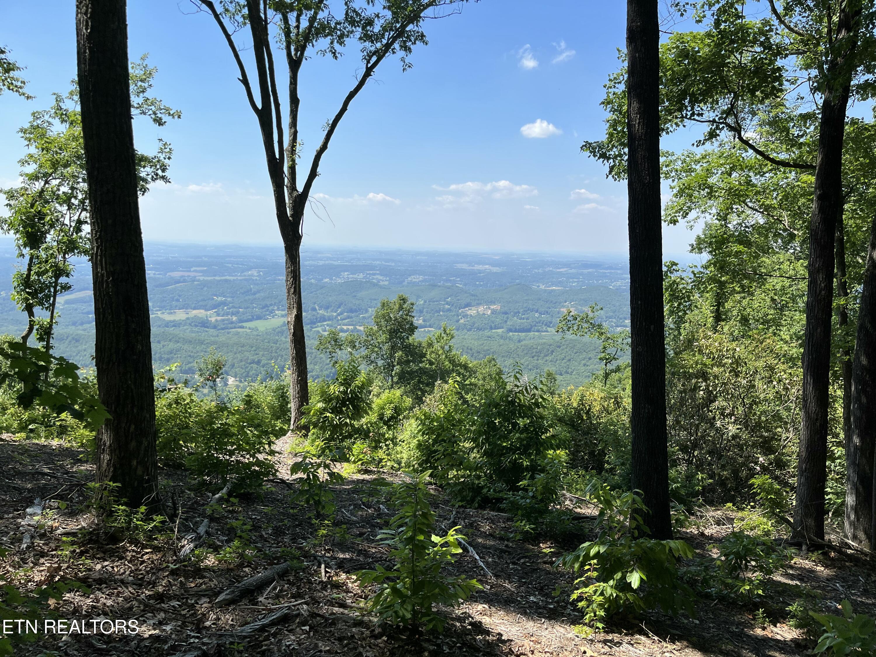 4166 Chilhowee Trail Maryville TN 37803