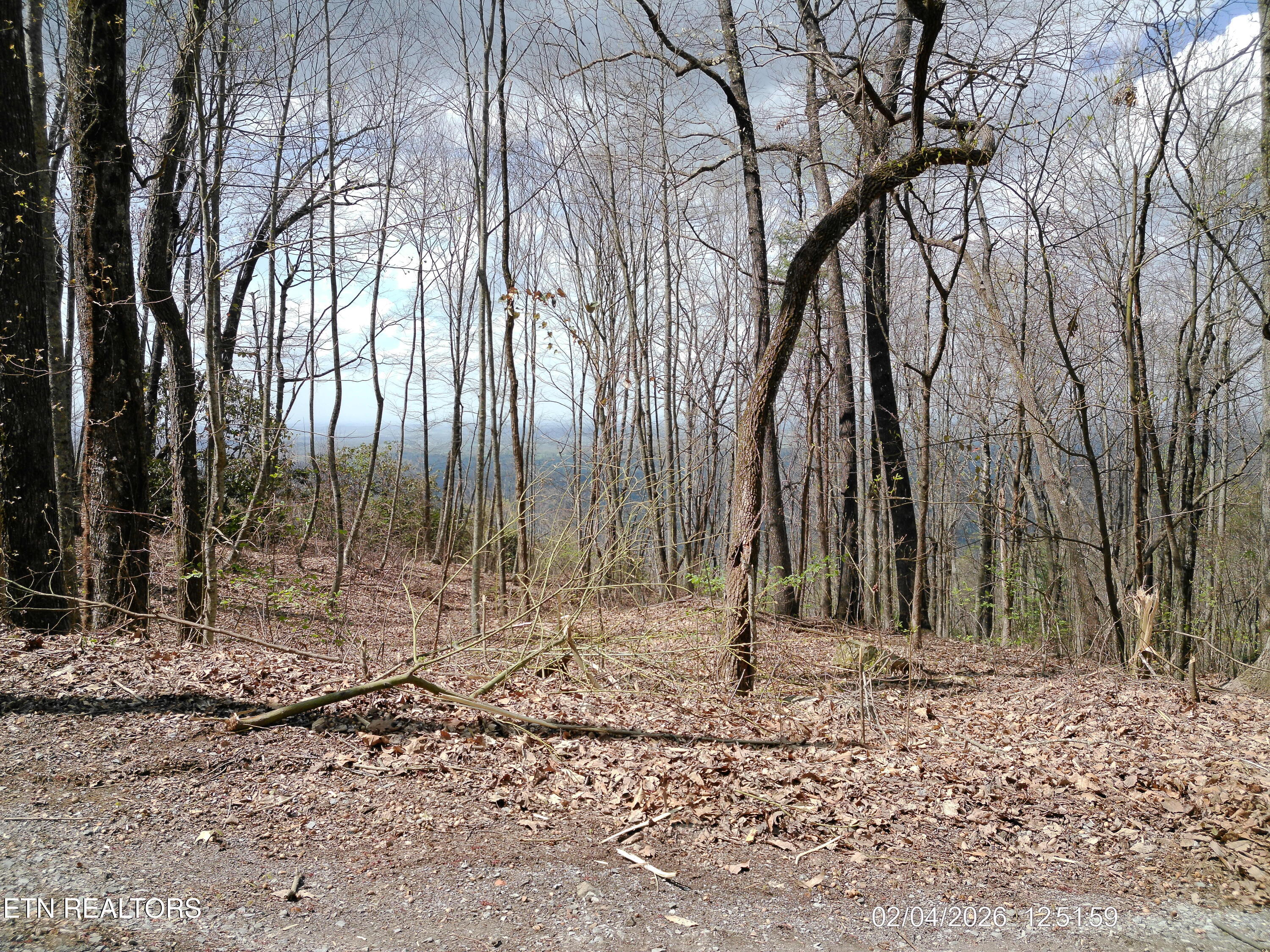 4166 Chilhowee Trail Maryville TN 37803