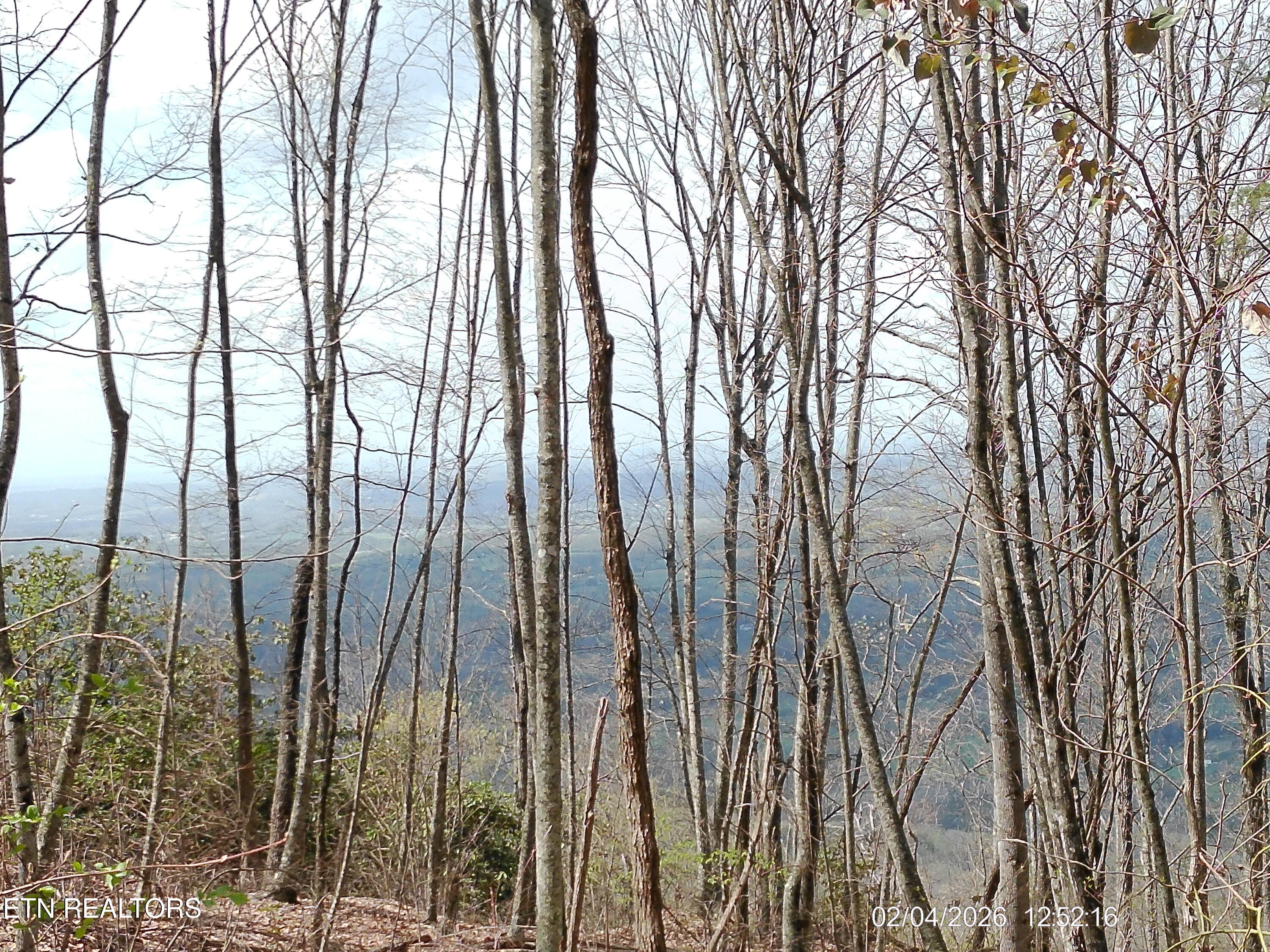 4166 Chilhowee Trail Maryville TN 37803