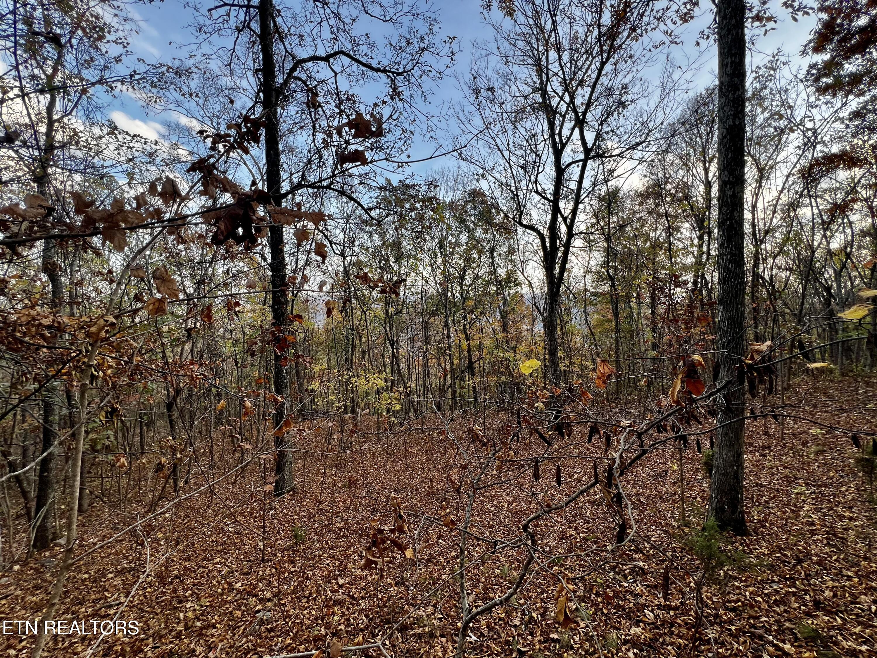 Lot 675 Chimney Rock Road New Tazewell TN 37825