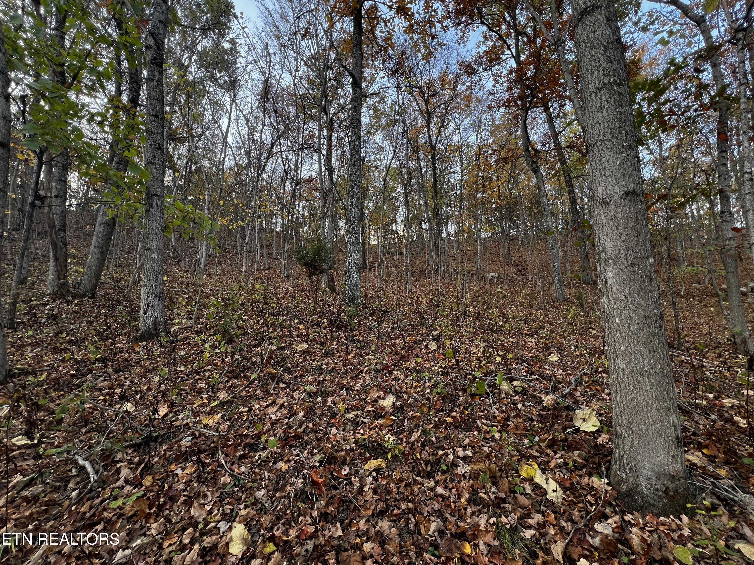 Lot 675 Chimney Rock Road New Tazewell TN 37825