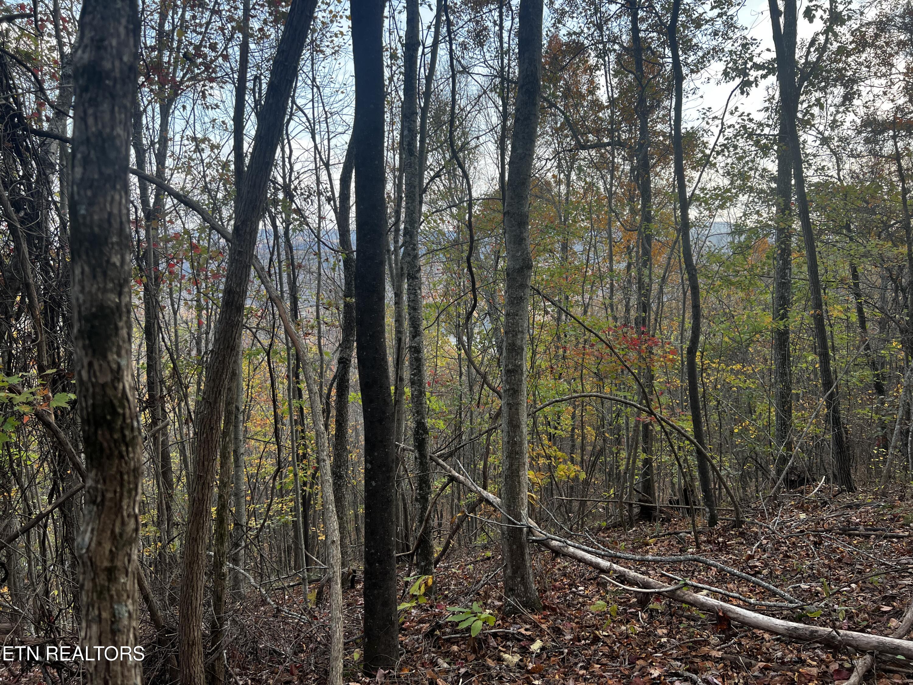Lot 675 Chimney Rock Road New Tazewell TN 37825