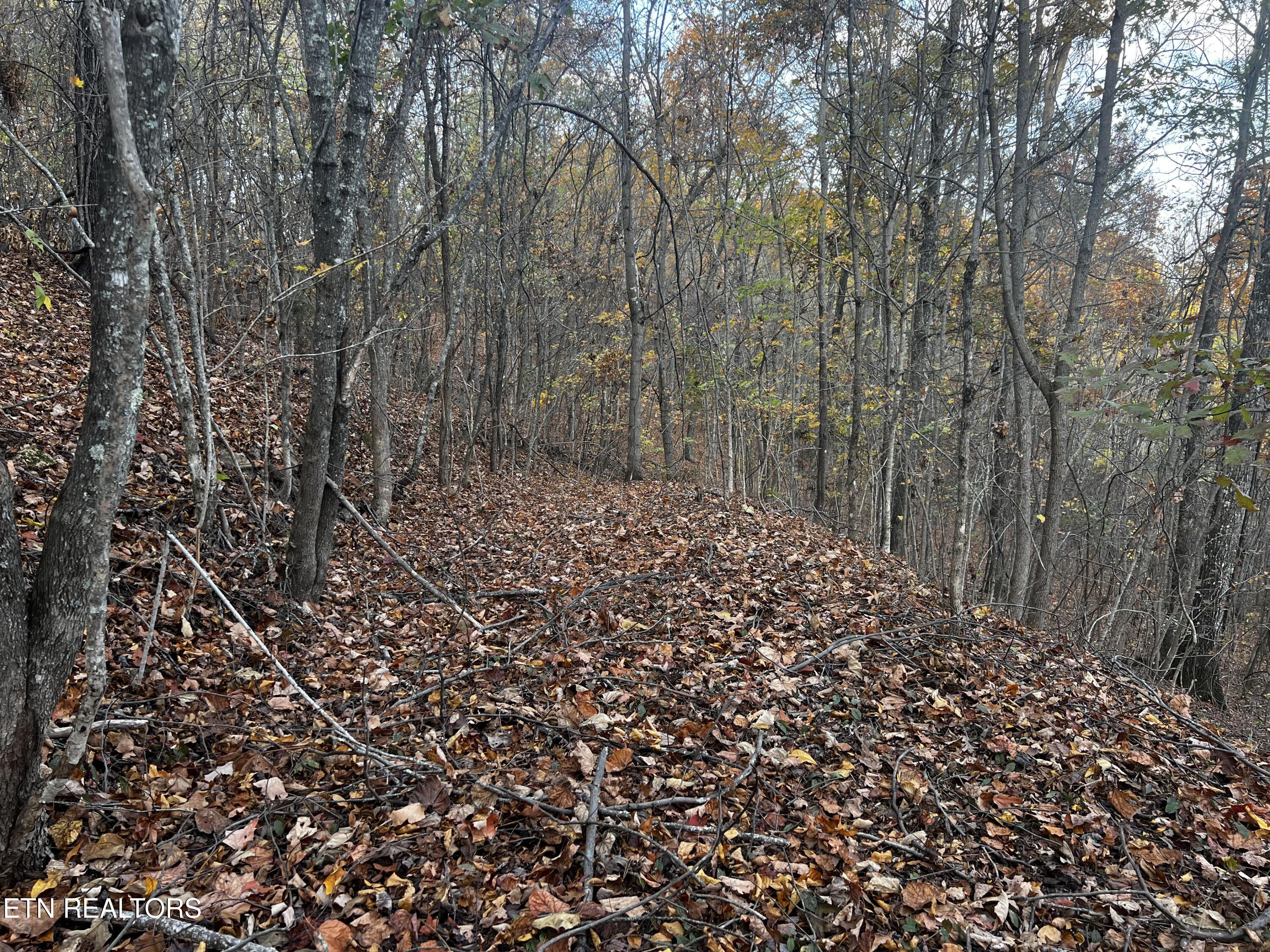 Lot 675 Chimney Rock Road New Tazewell TN 37825