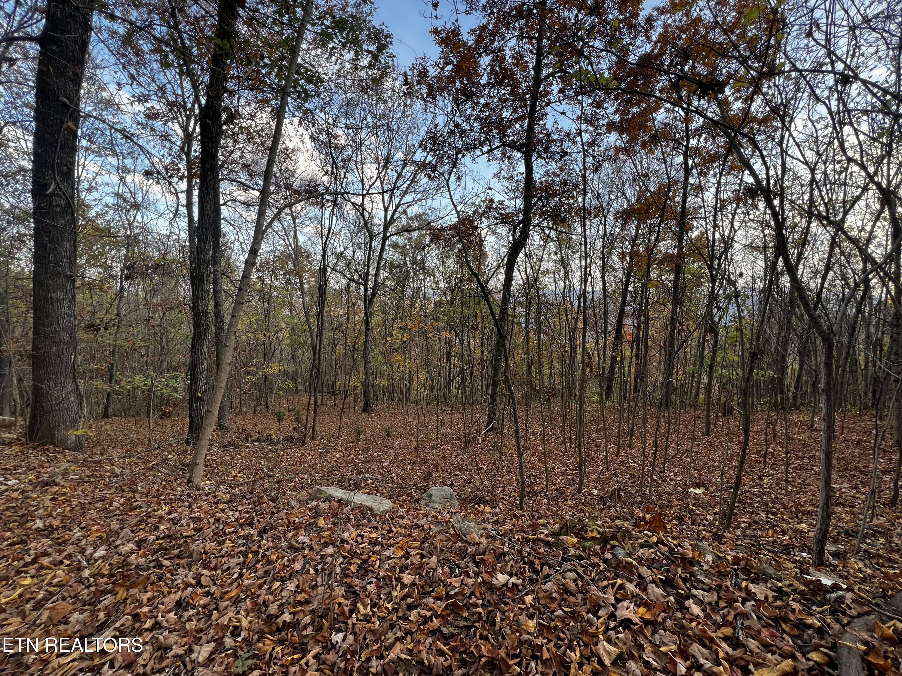 Lot 675 Chimney Rock Road New Tazewell TN 37825