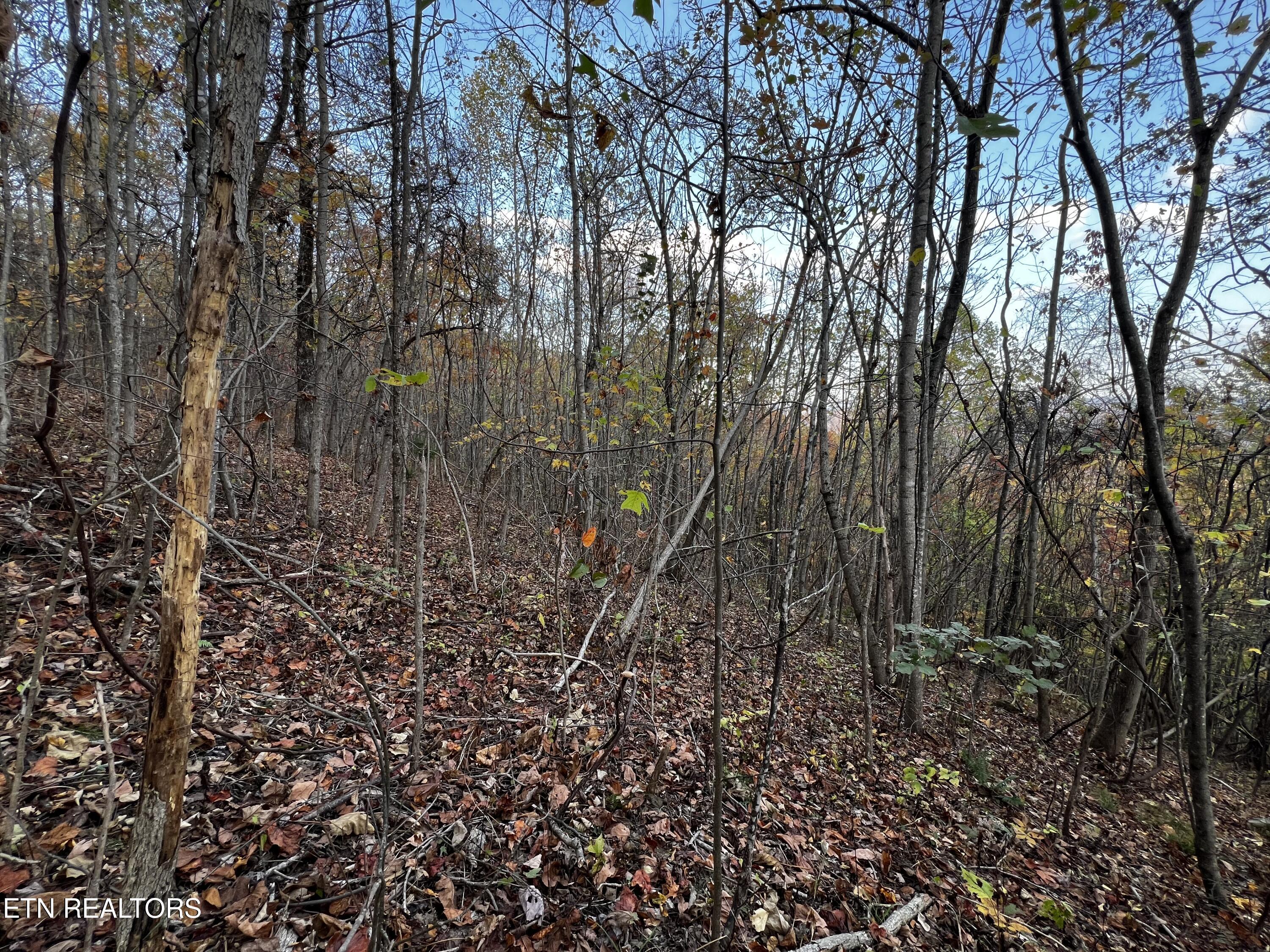 Lot 675 Chimney Rock Road New Tazewell TN 37825