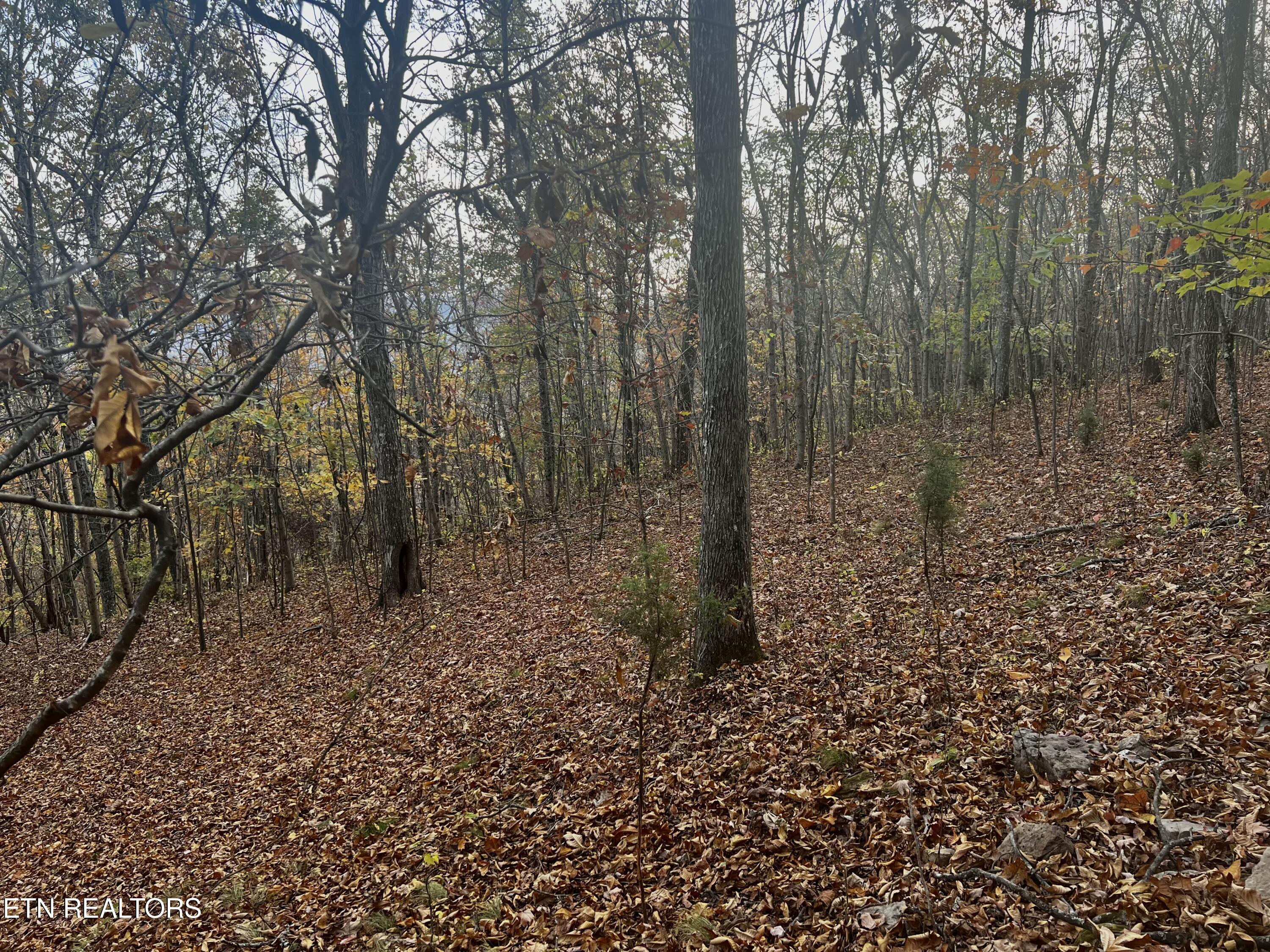 Lot 675 Chimney Rock Road New Tazewell TN 37825