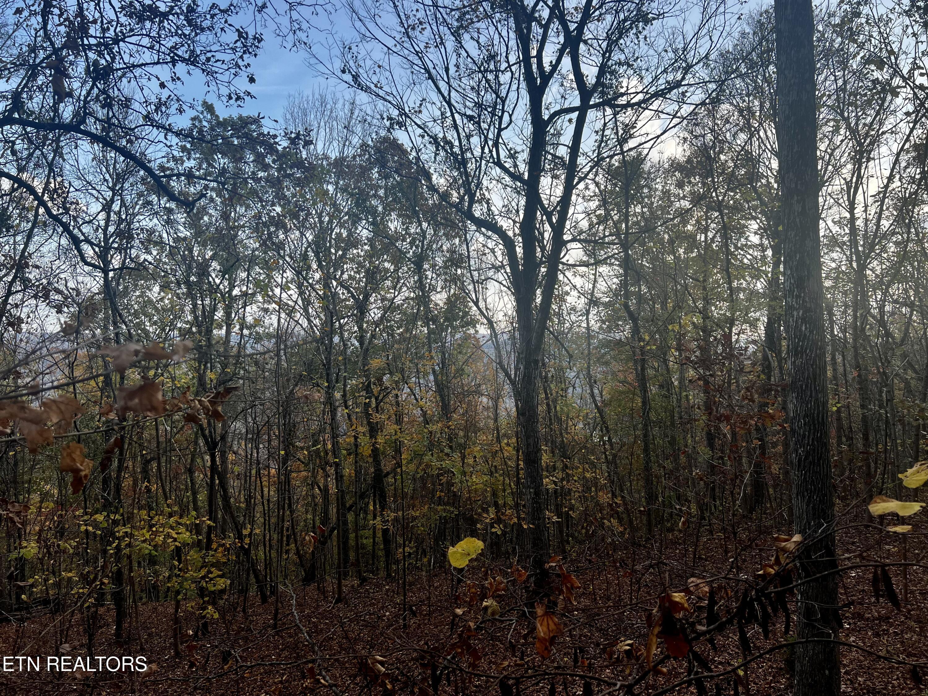 Lot 675 Chimney Rock Road New Tazewell TN 37825