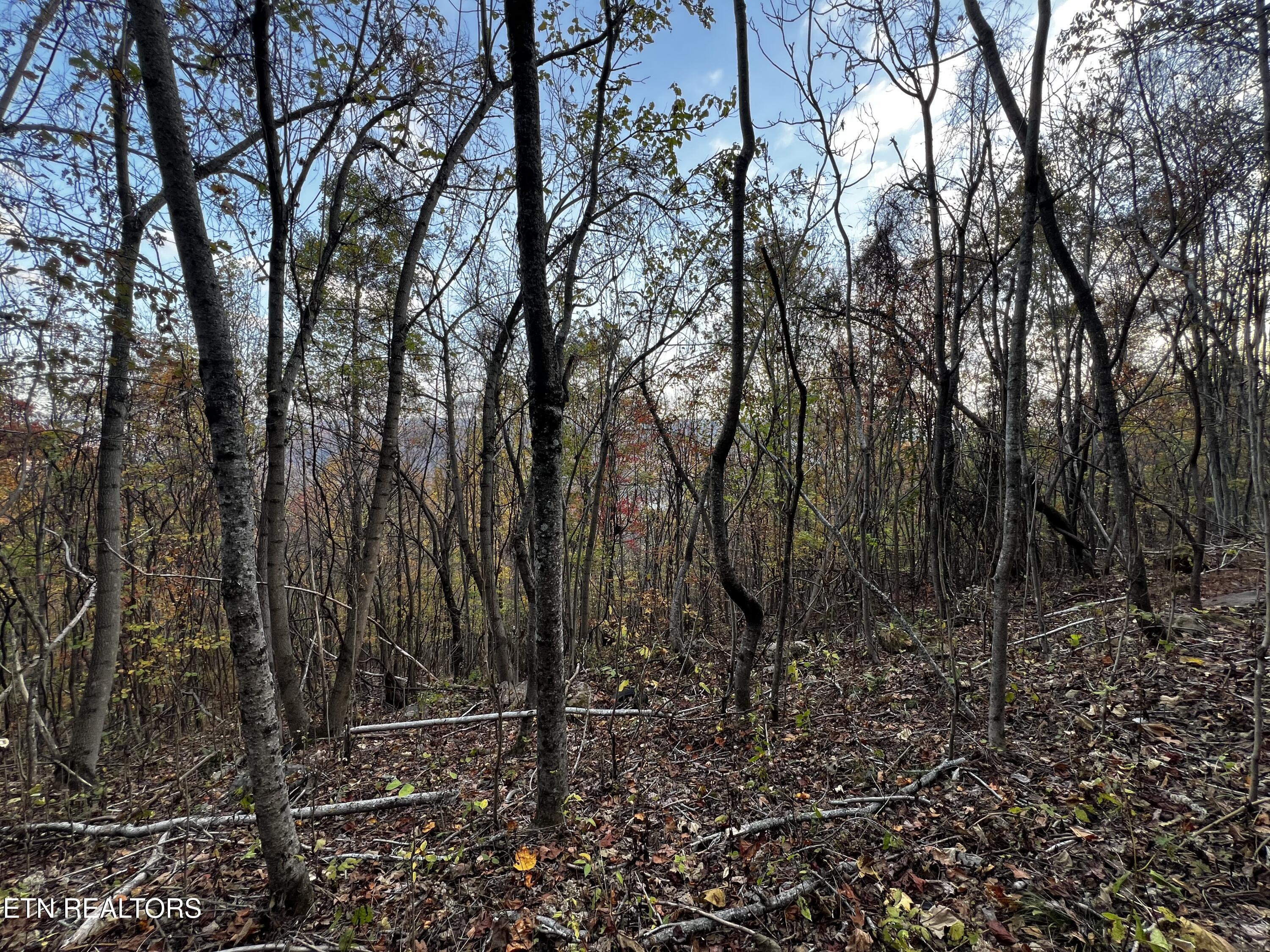 Lot 675 Chimney Rock Road New Tazewell TN 37825