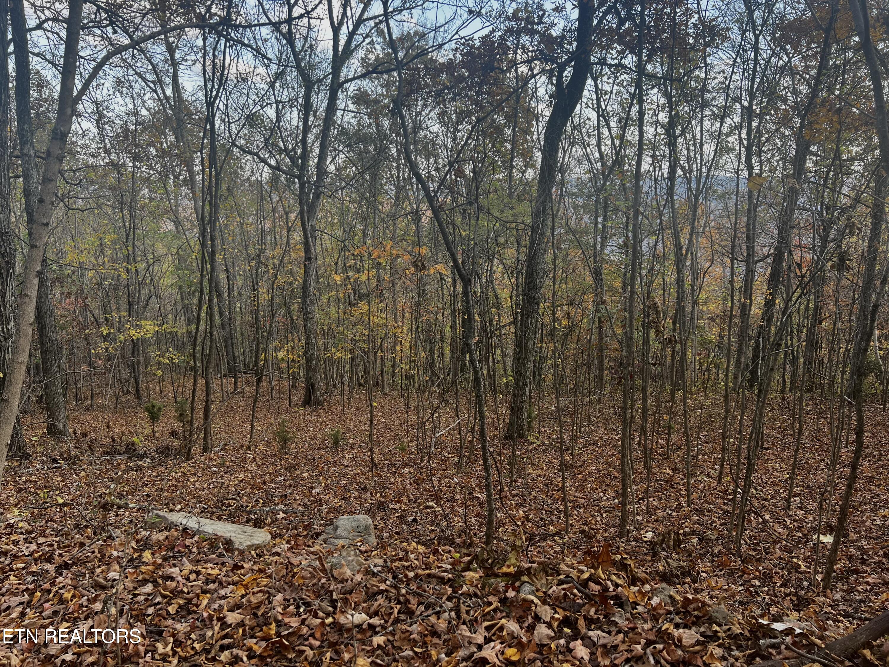 Lot 675 Chimney Rock Road New Tazewell TN 37825